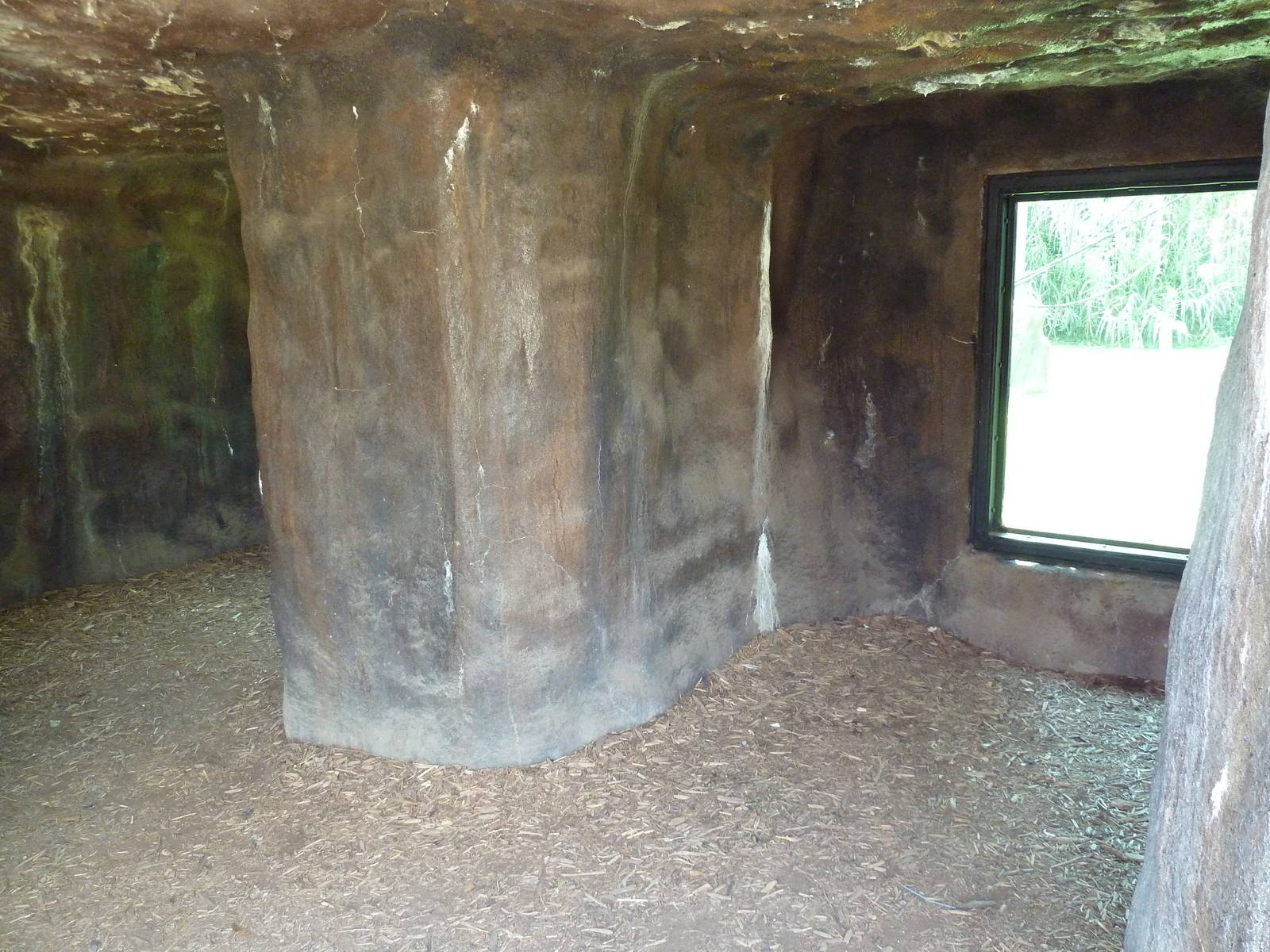 Gombe Forest - Chimpanzee Exhibit - Viewing Cave