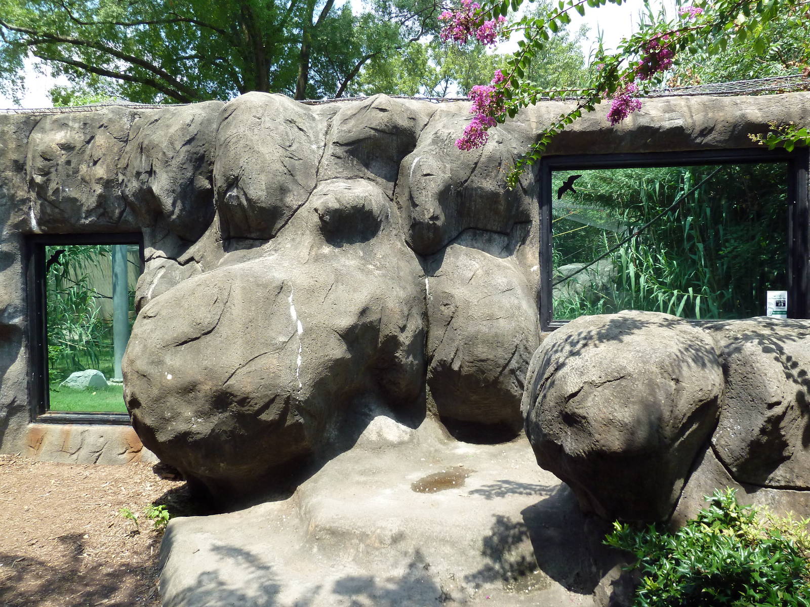 Gombe Forest - Chimpanzee Exhibit