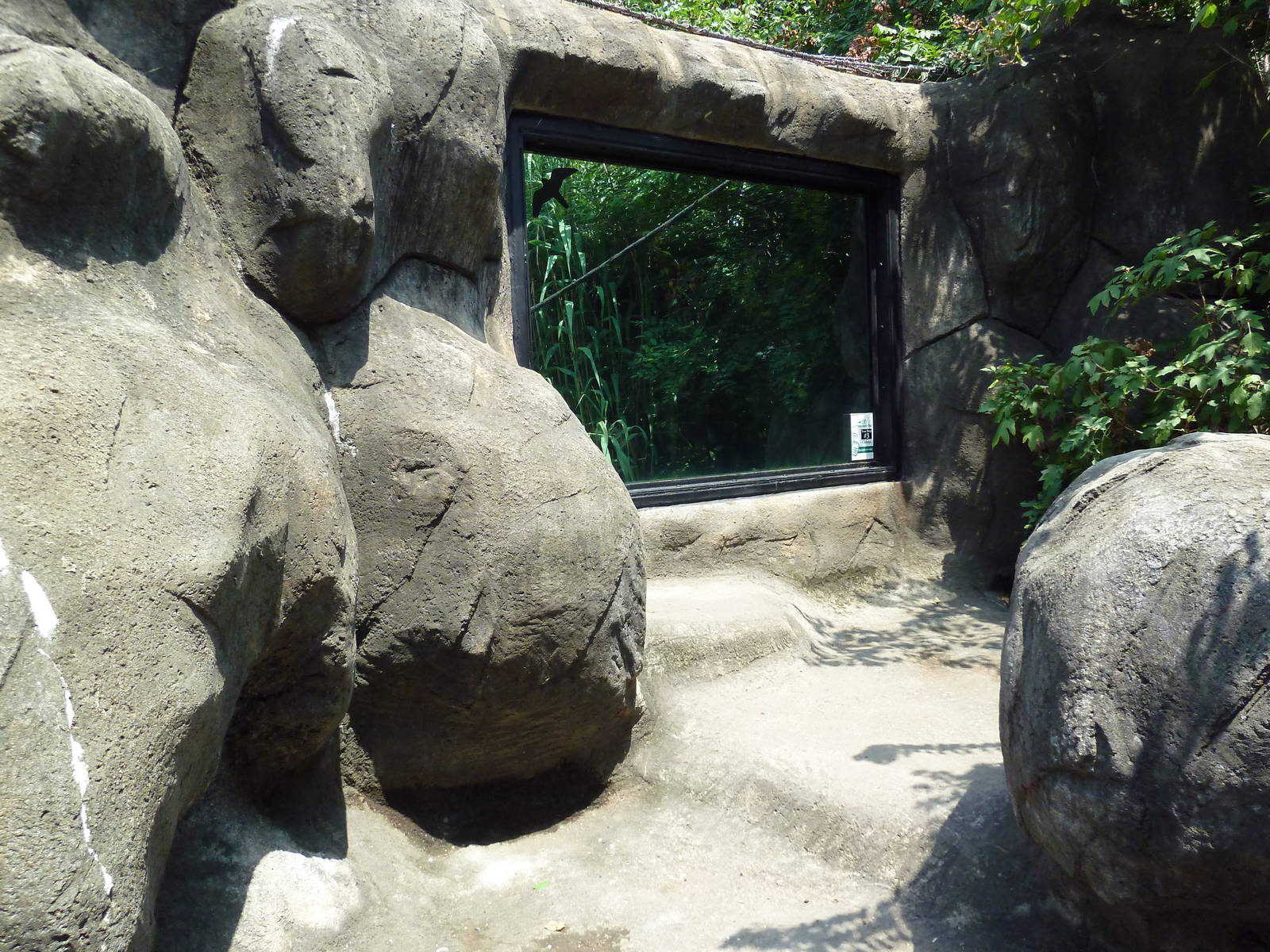 Gombe Forest - Chimpanzee Exhibit