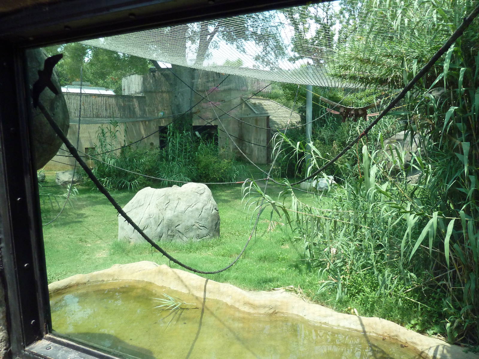 Gombe Forest - Chimpanzee Exhibit