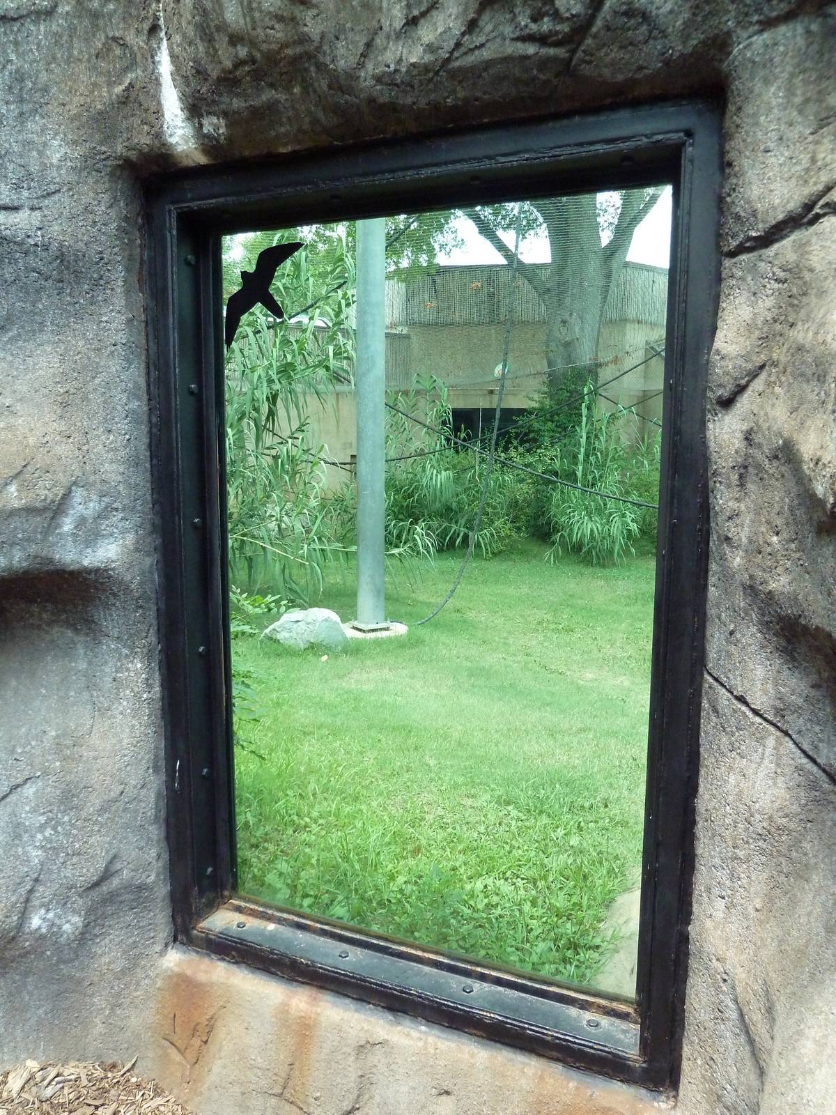 Gombe Forest - Chimpanzee Exhibit