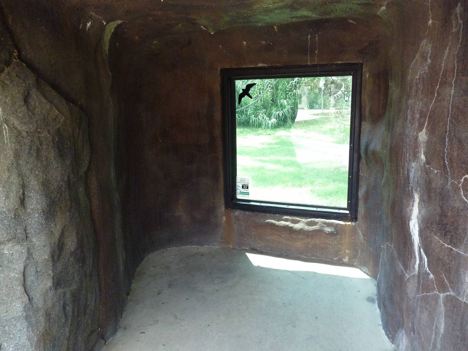 Gombe Forest - Chimpanzee Exhibit