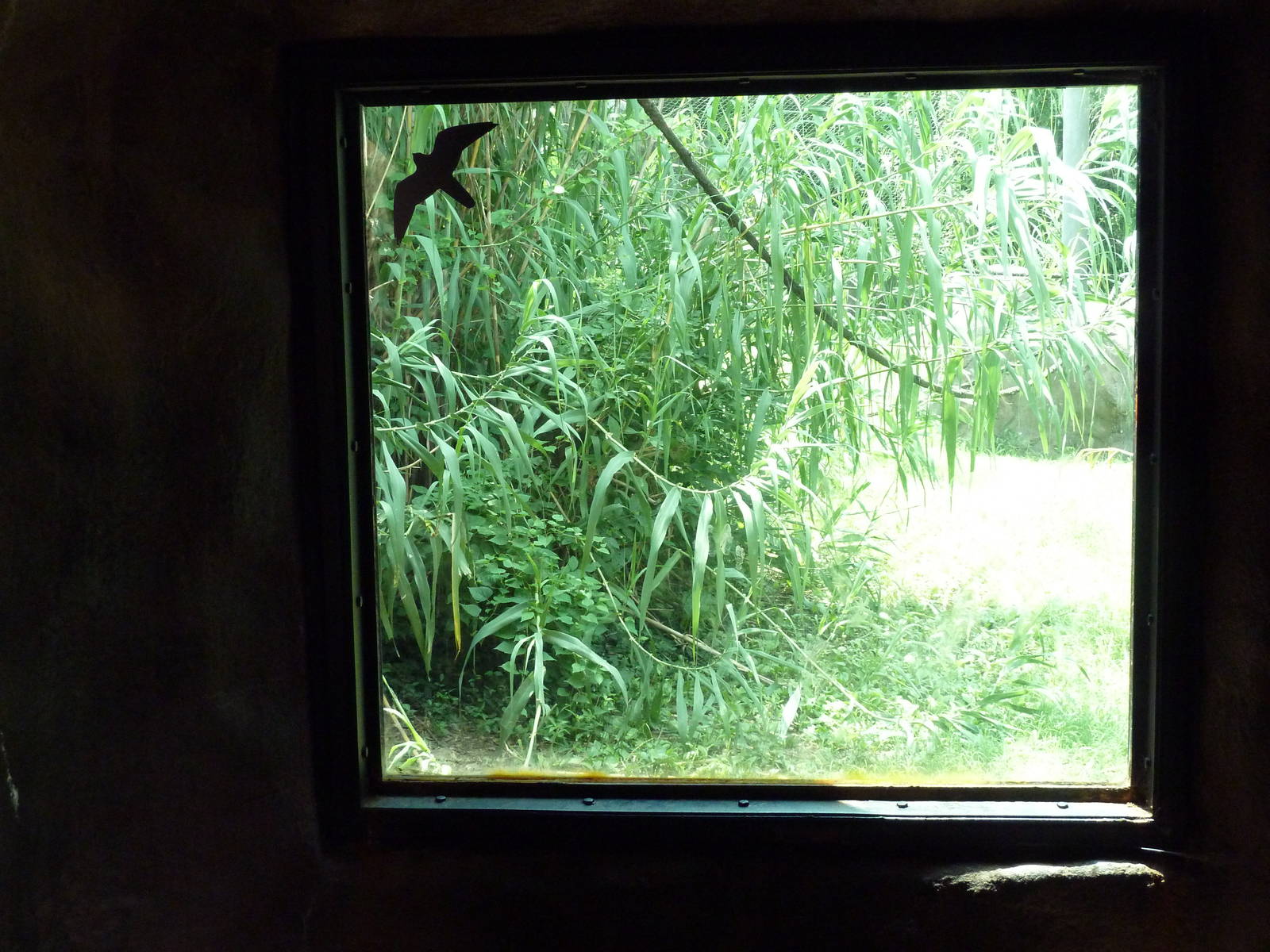 Gombe Forest - Chimpanzee Exhibit