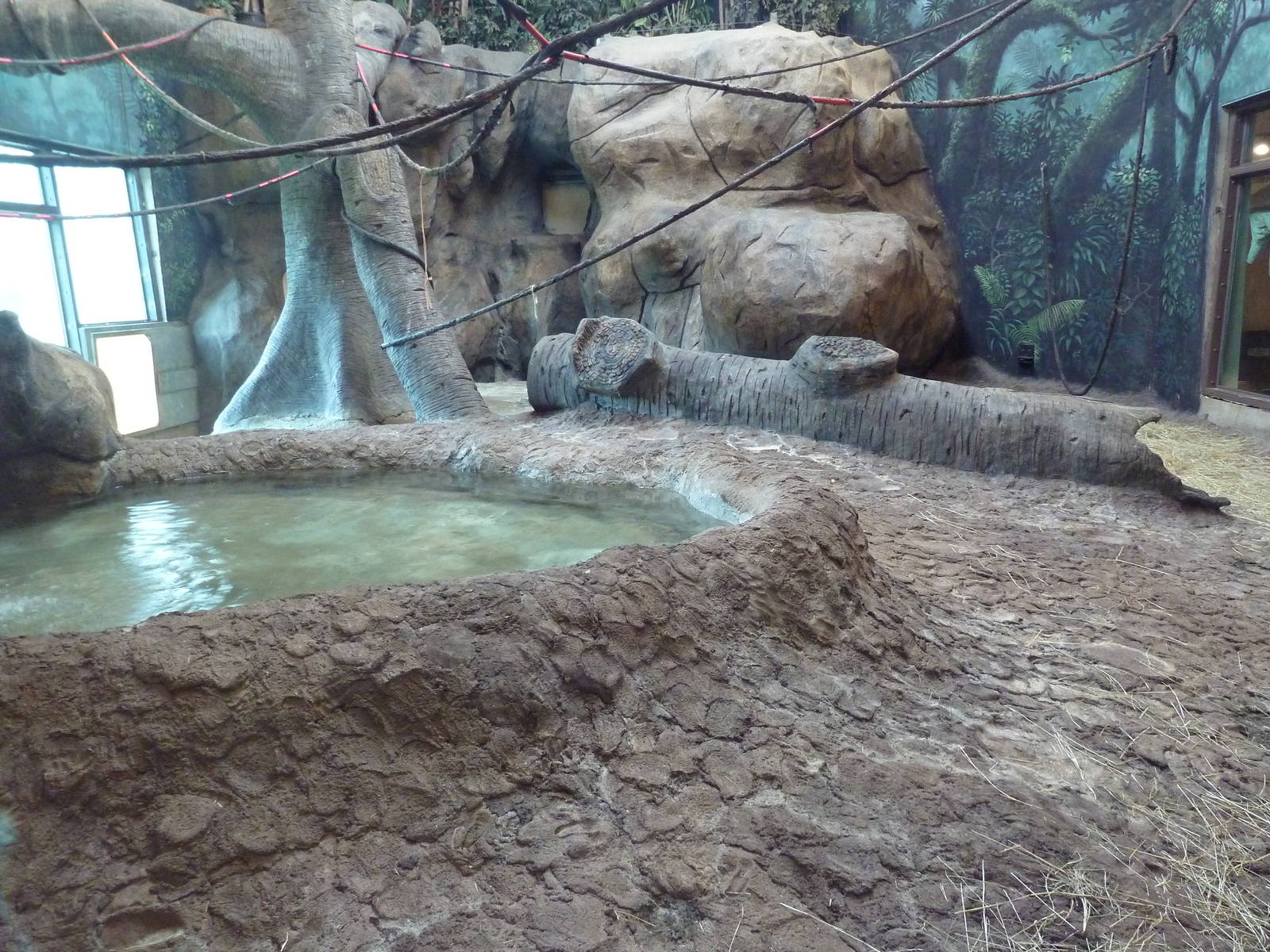 Gombe Forest - Chimpanzee Indoor Exhibit