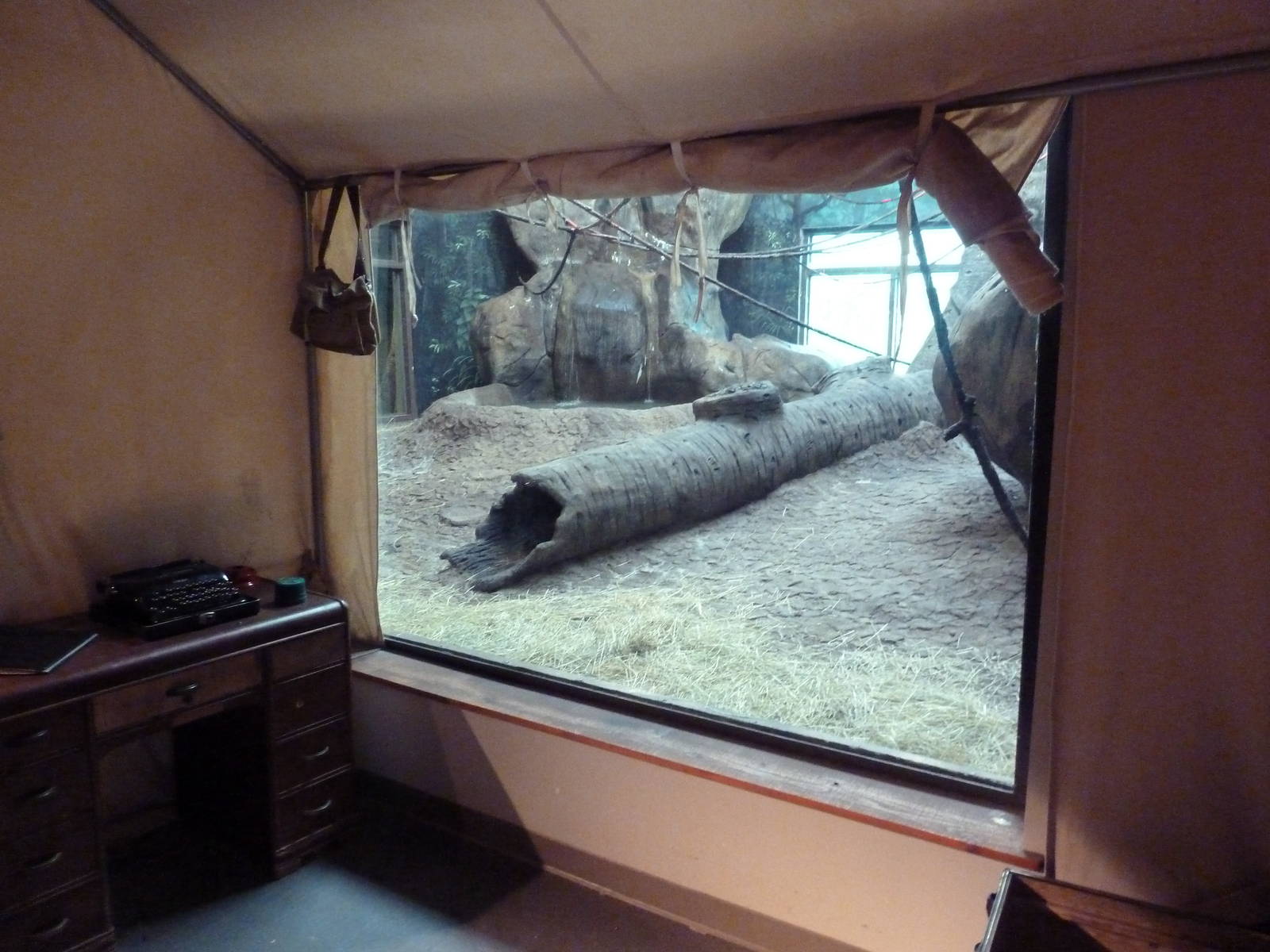 Gombe Forest - Chimpanzee Indoor Exhibit