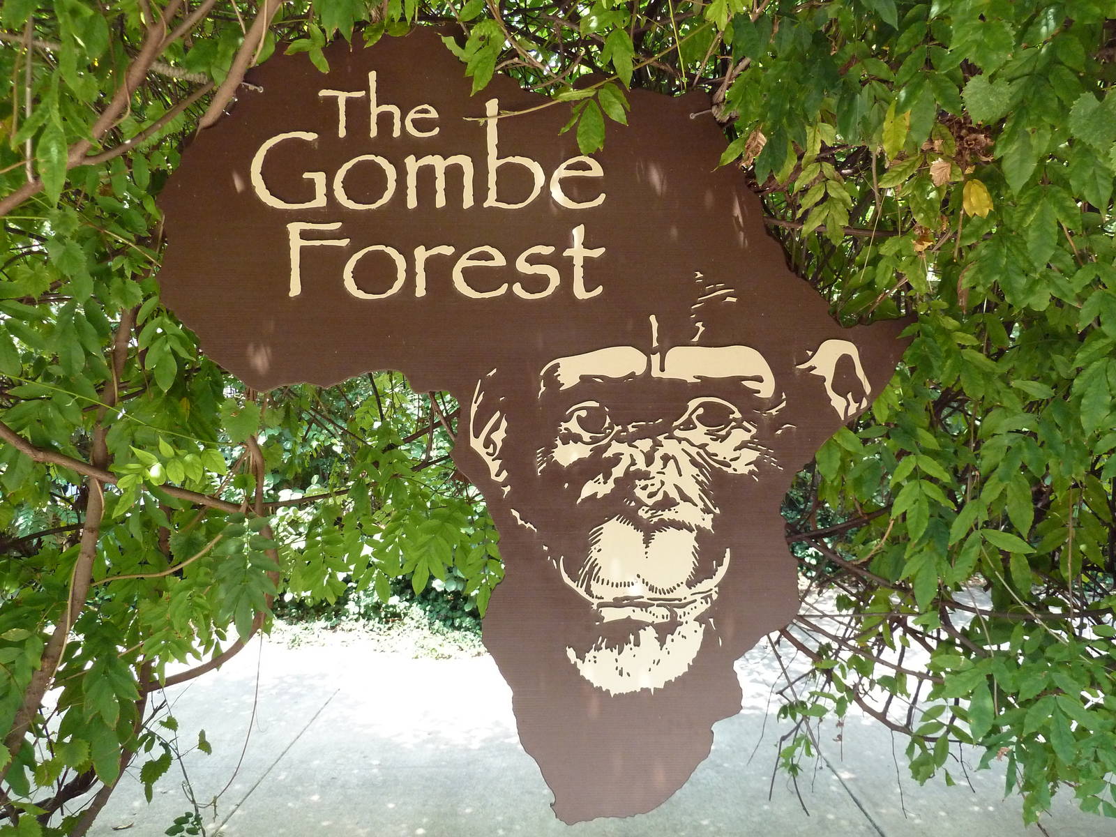Gombe Forest - Entrance Sign