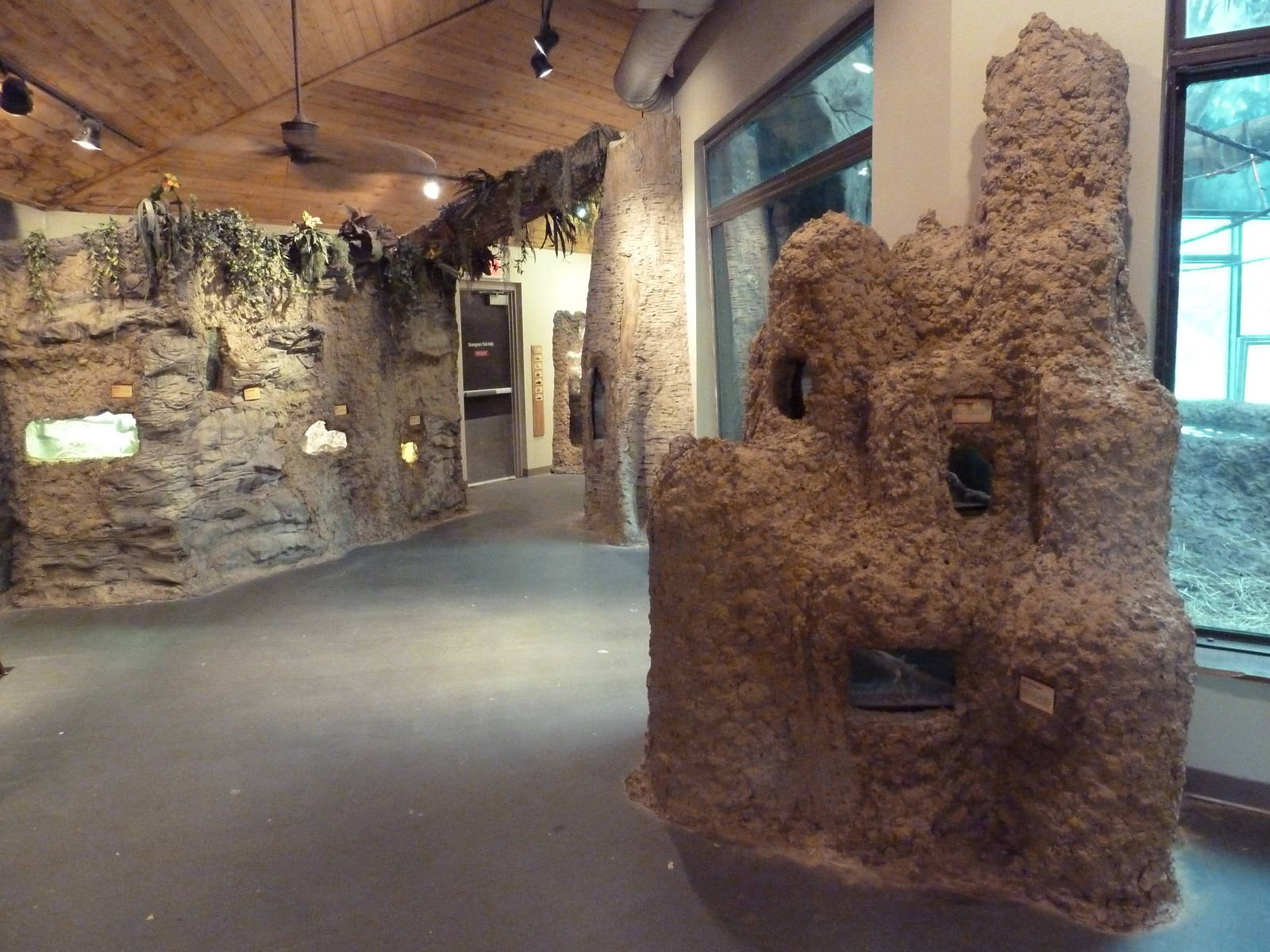 Gombe Forest - Terrariums