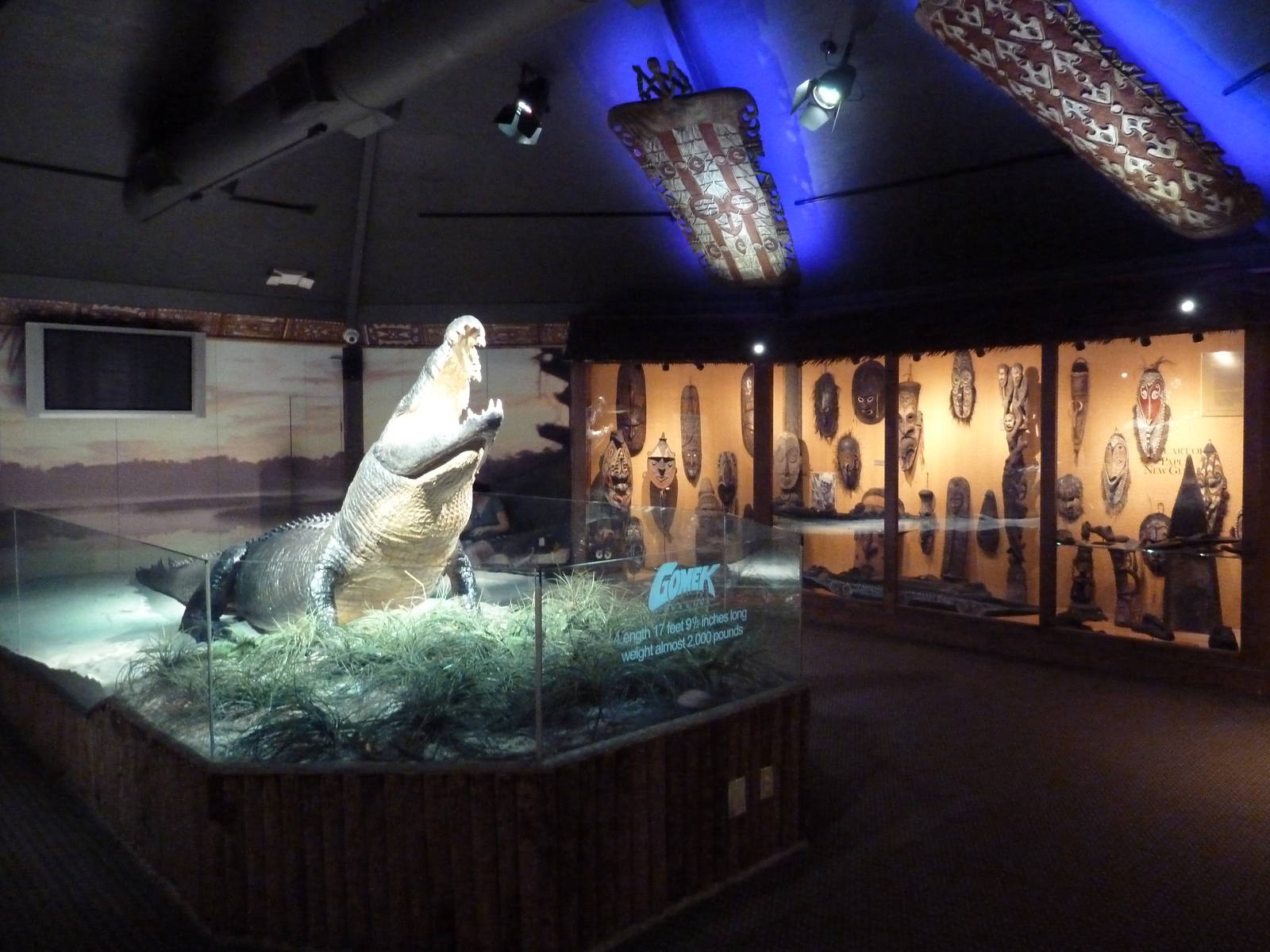 Gomek - 18 ft., 2,000 Pound Saltwater Crocodile