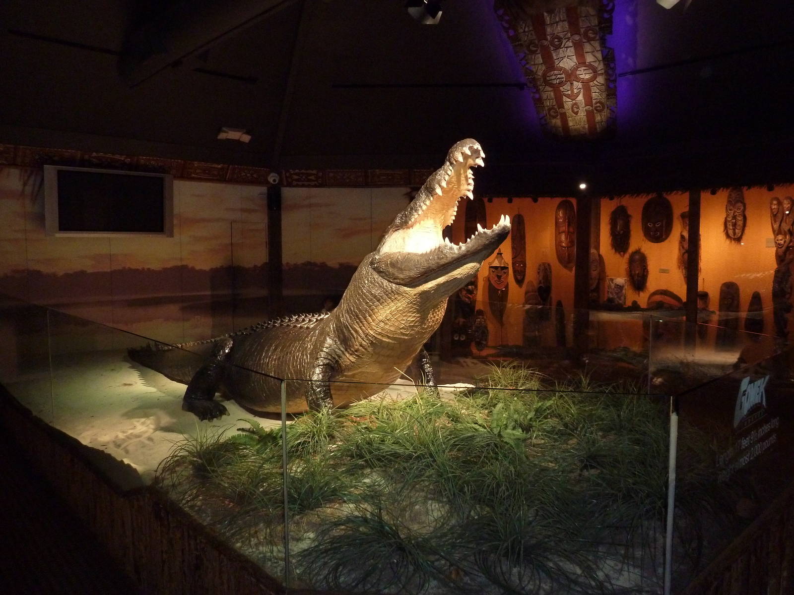 Gomek - 18 ft., 2,000 Pound Saltwater Crocodile