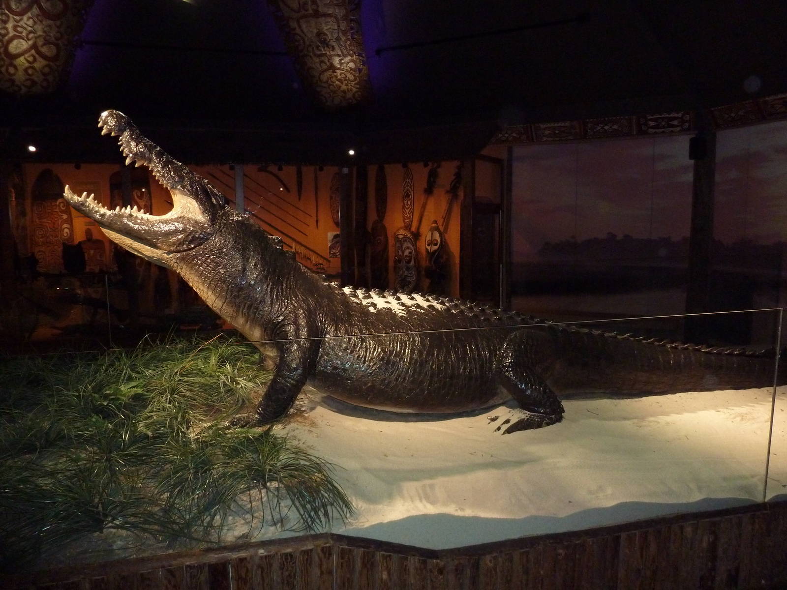 Gomek - 18 ft., 2,000 Pound Saltwater Crocodile