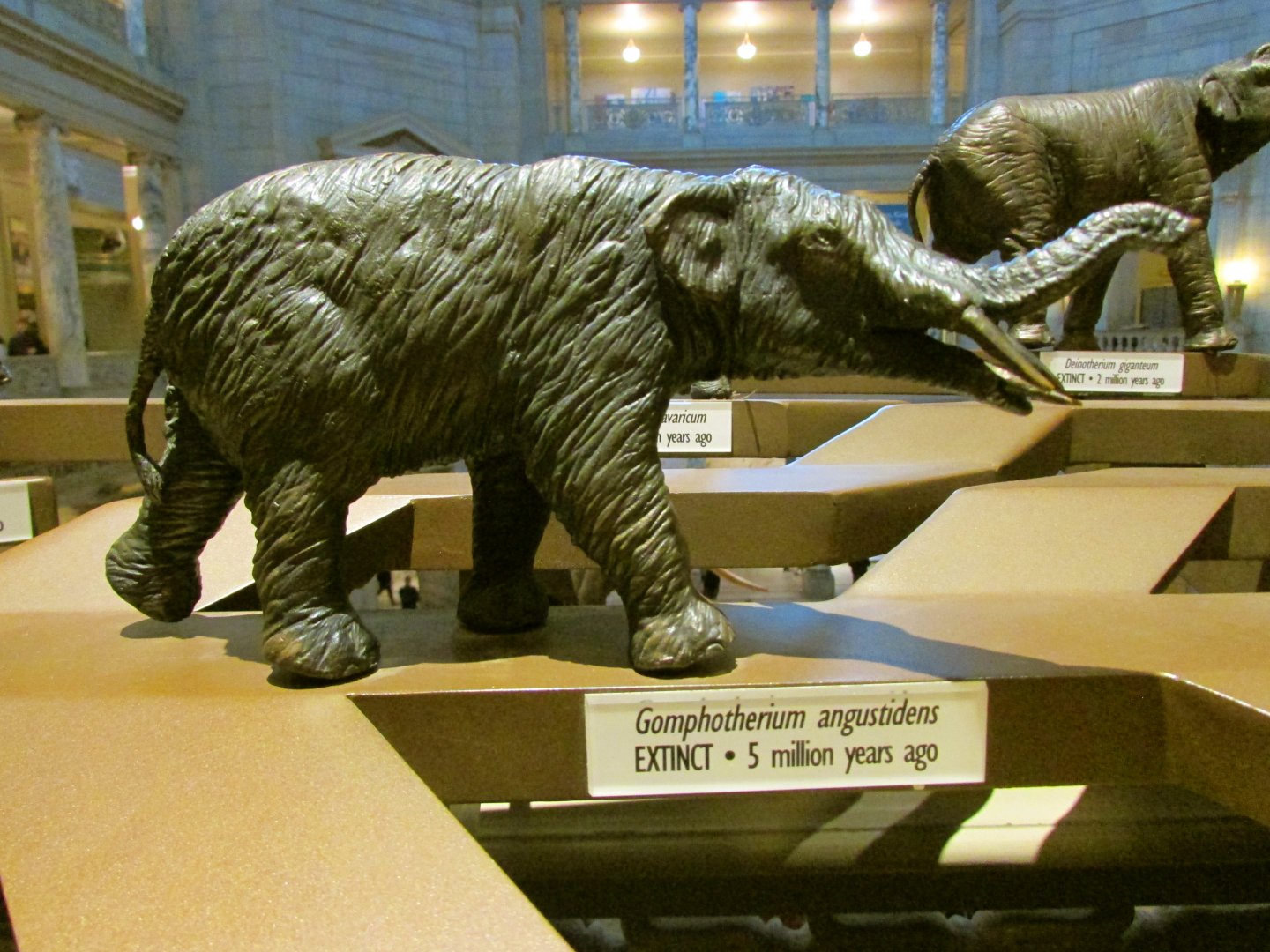 Gomphotherium Bronze Sculpture