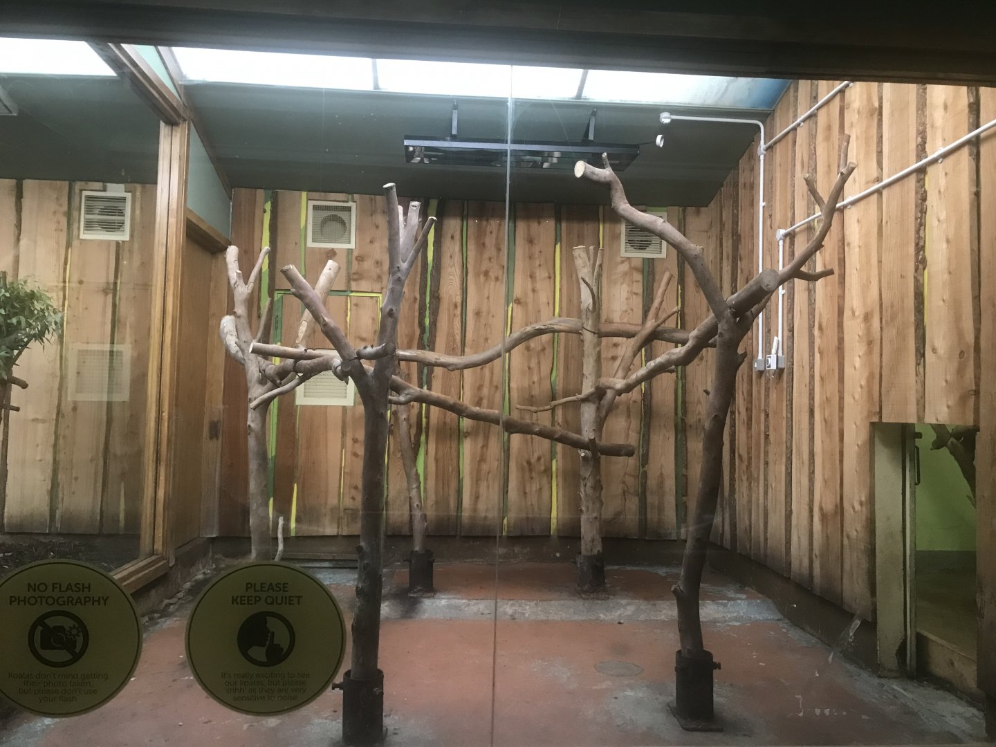 Gonaroo’s old enclosure