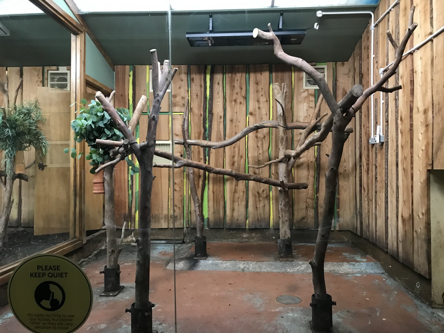 Gonaroo’s old enclosure