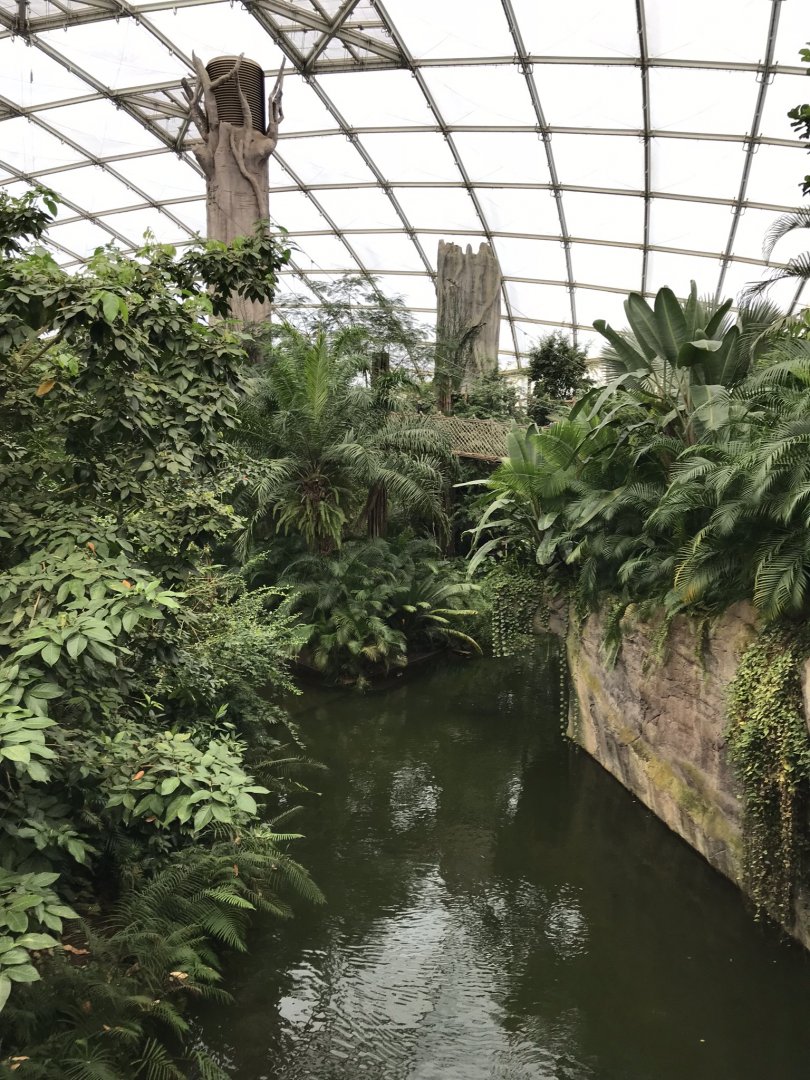 Gondwanaland 280118