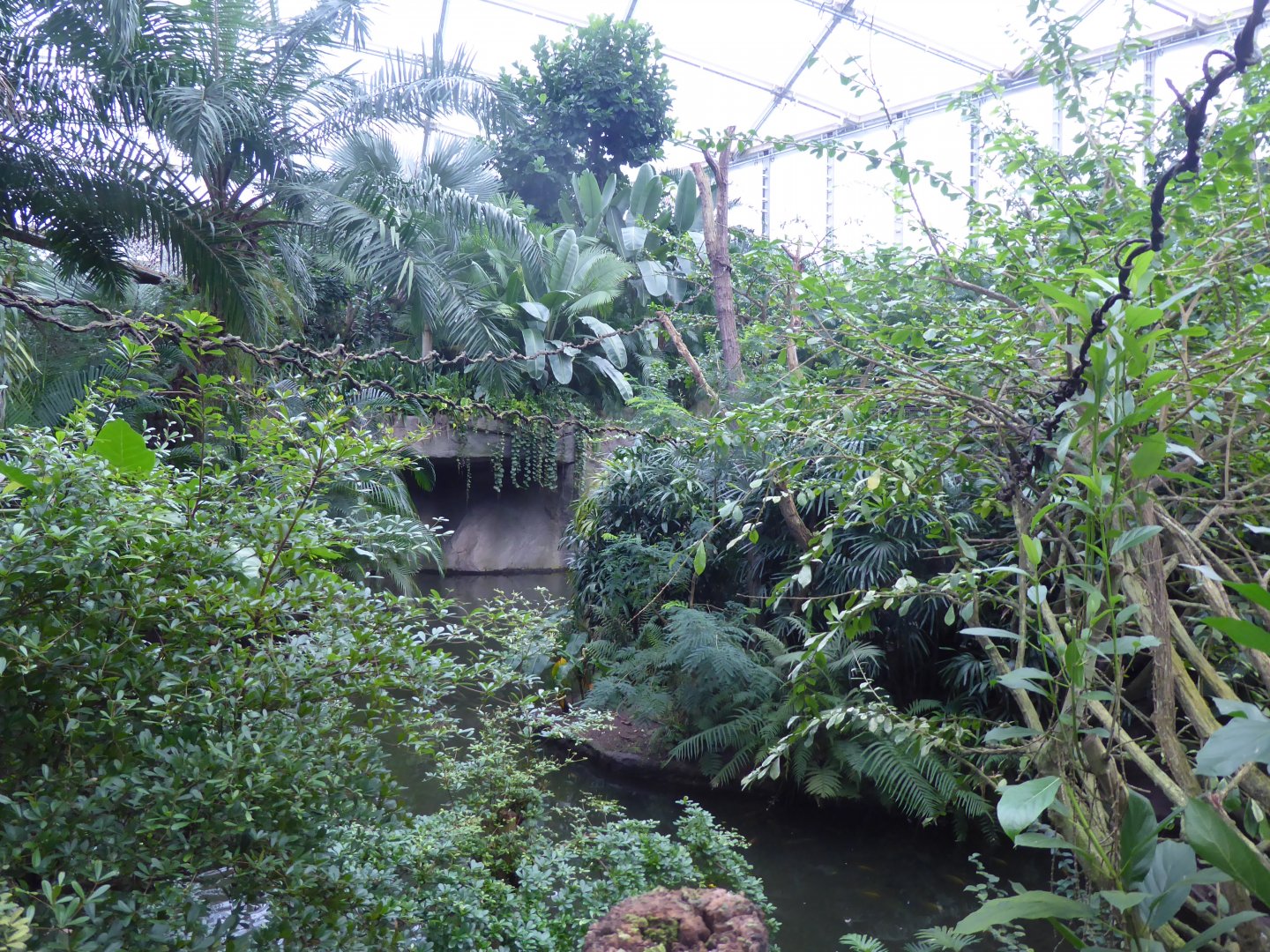 Gondwanaland 280118