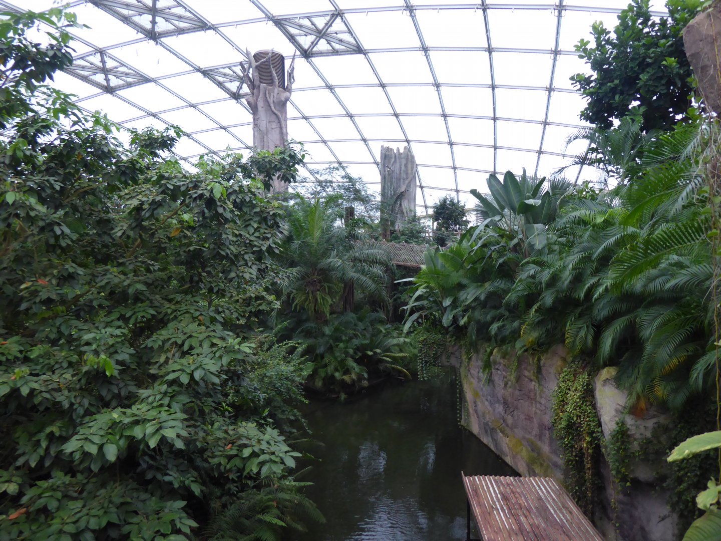 Gondwanaland 280118