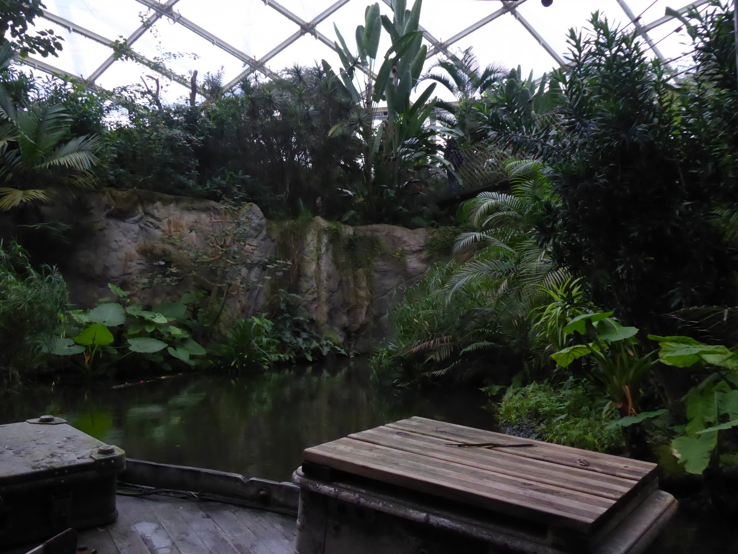 Gondwanaland - Boat Trip view 280118