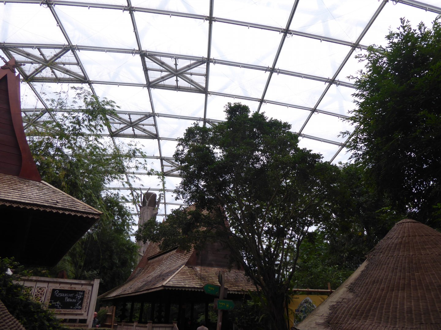 Gondwanaland food area 280118