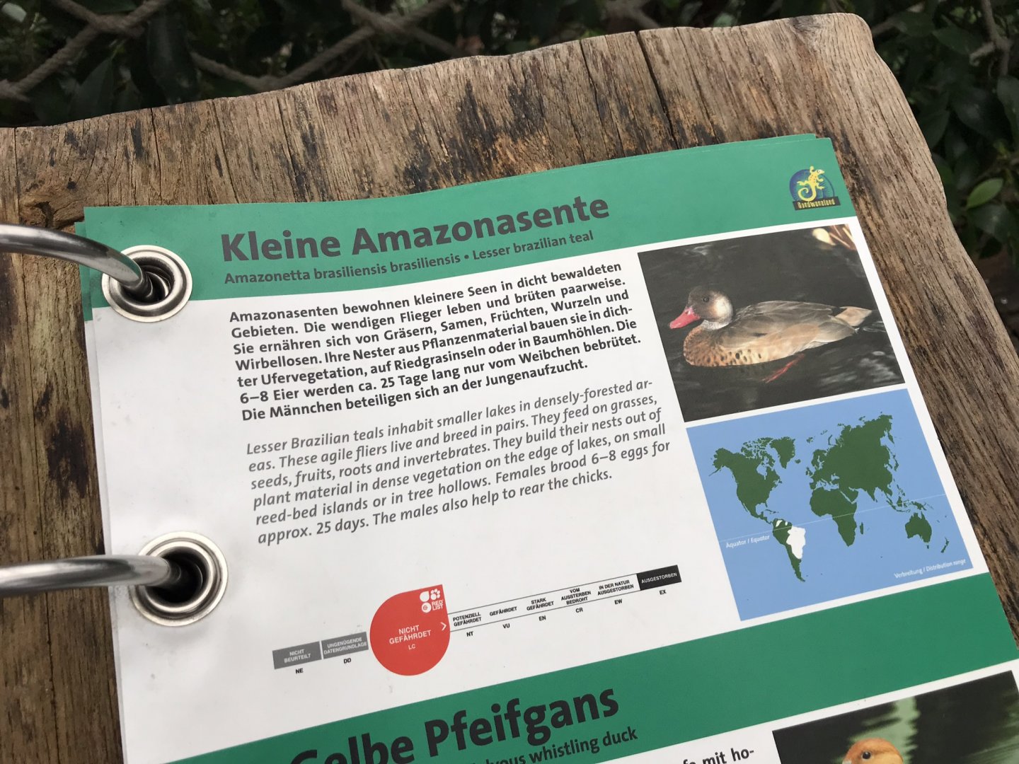 Gondwanaland - Free-roaming animal ID booklet 280118