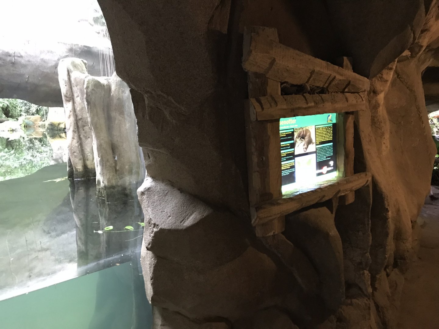 Gondwanaland - Giant otter exhibit 280118