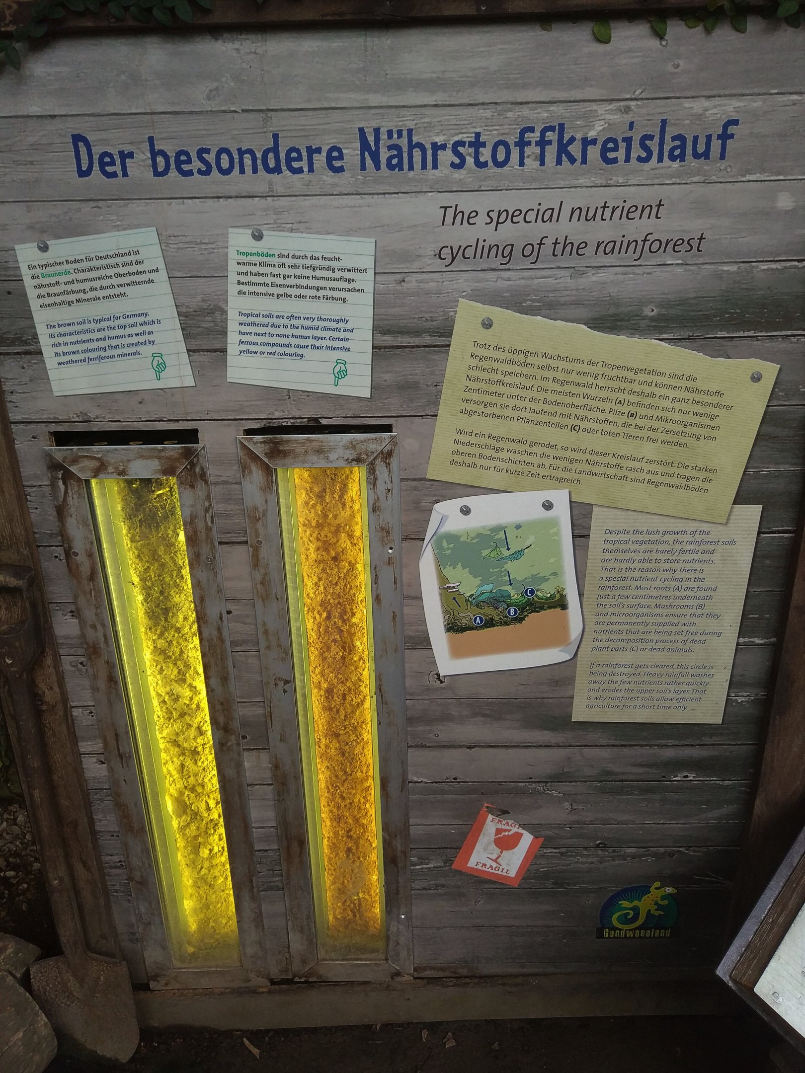 Gondwanaland Interpretation