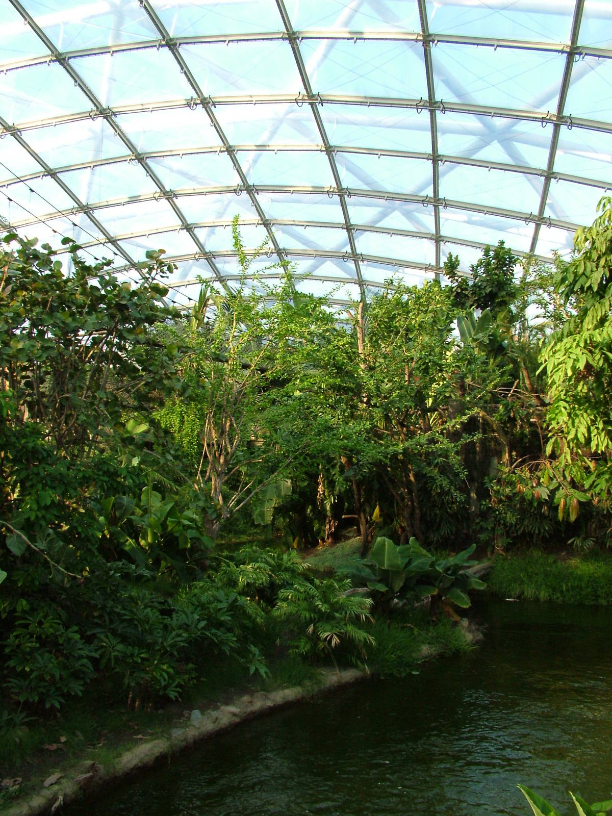 Gondwanaland, Leipzig, 02/09/11