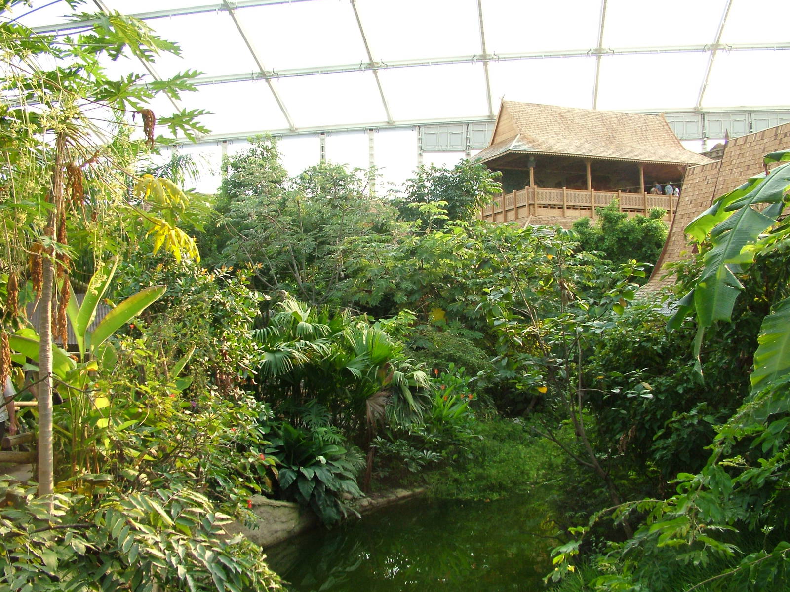 Gondwanaland, Leipzig, 03/09/11