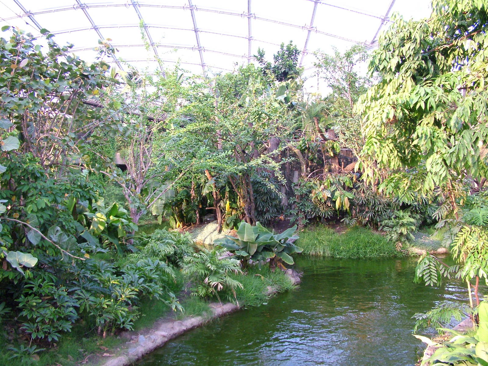 Gondwanaland, Leipzig, 03/09/11