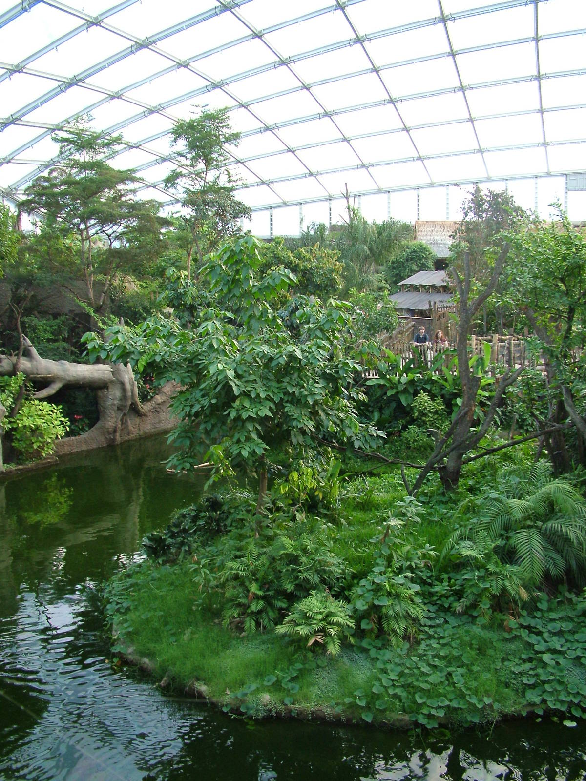 Gondwanaland, Leipzig, 03/09/11