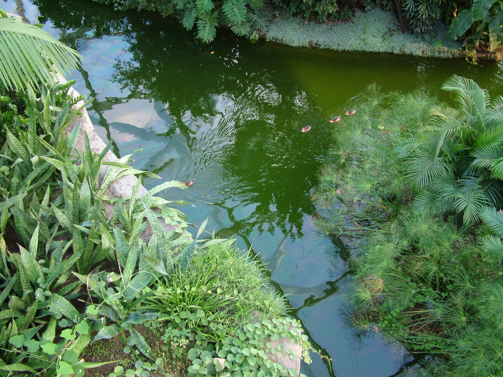 Gondwanaland, Leipzig, 03/09/11