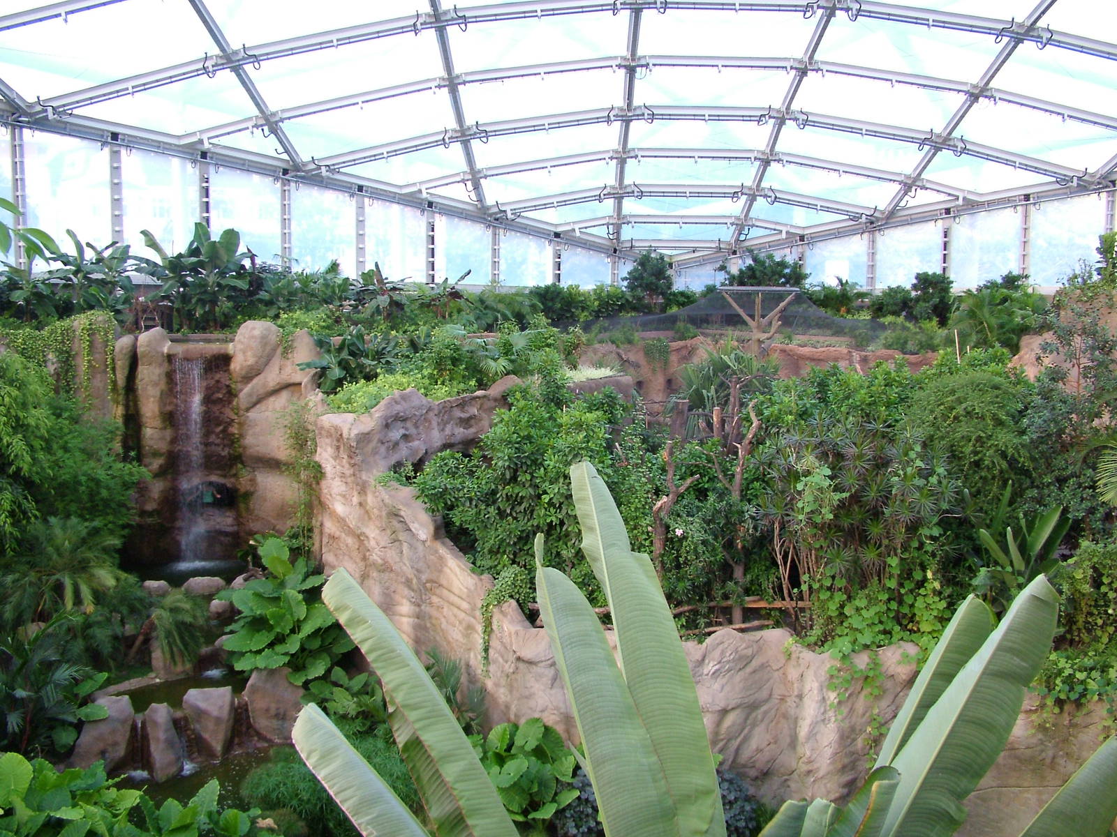 Gondwanaland, Leipzig, 03/09/11