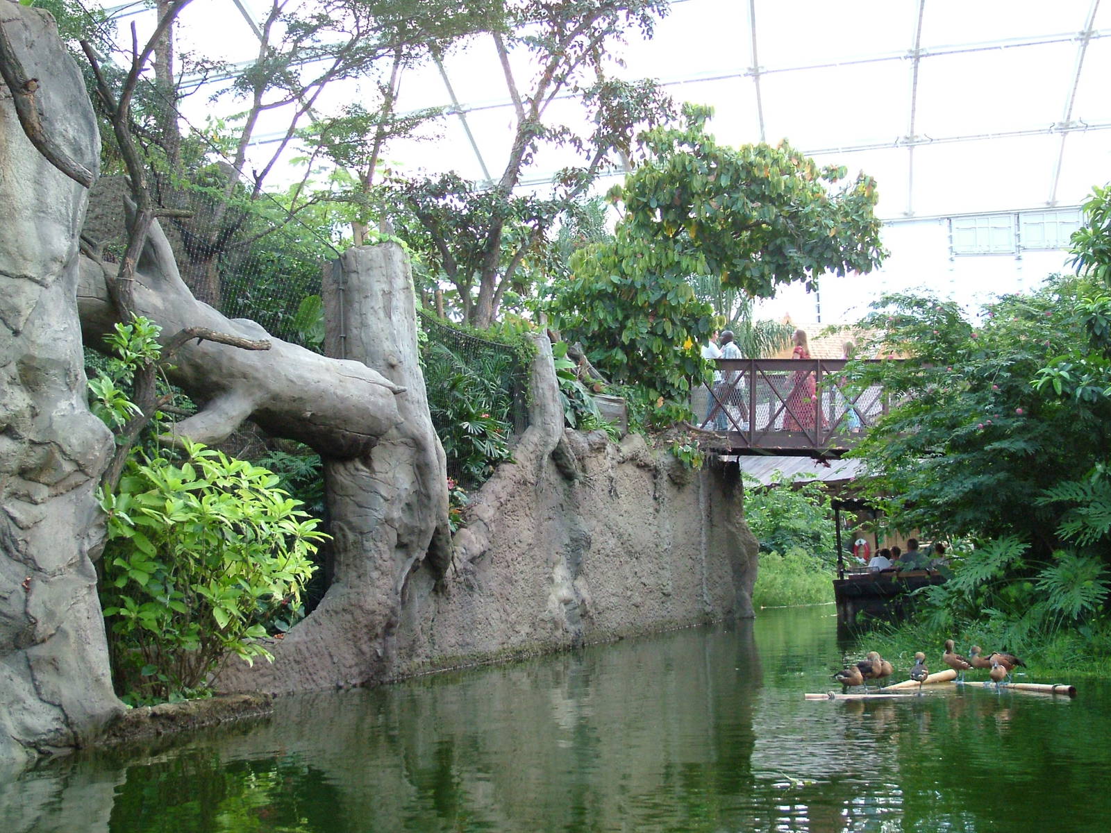 Gondwanaland, Leipzig, 03/09/11