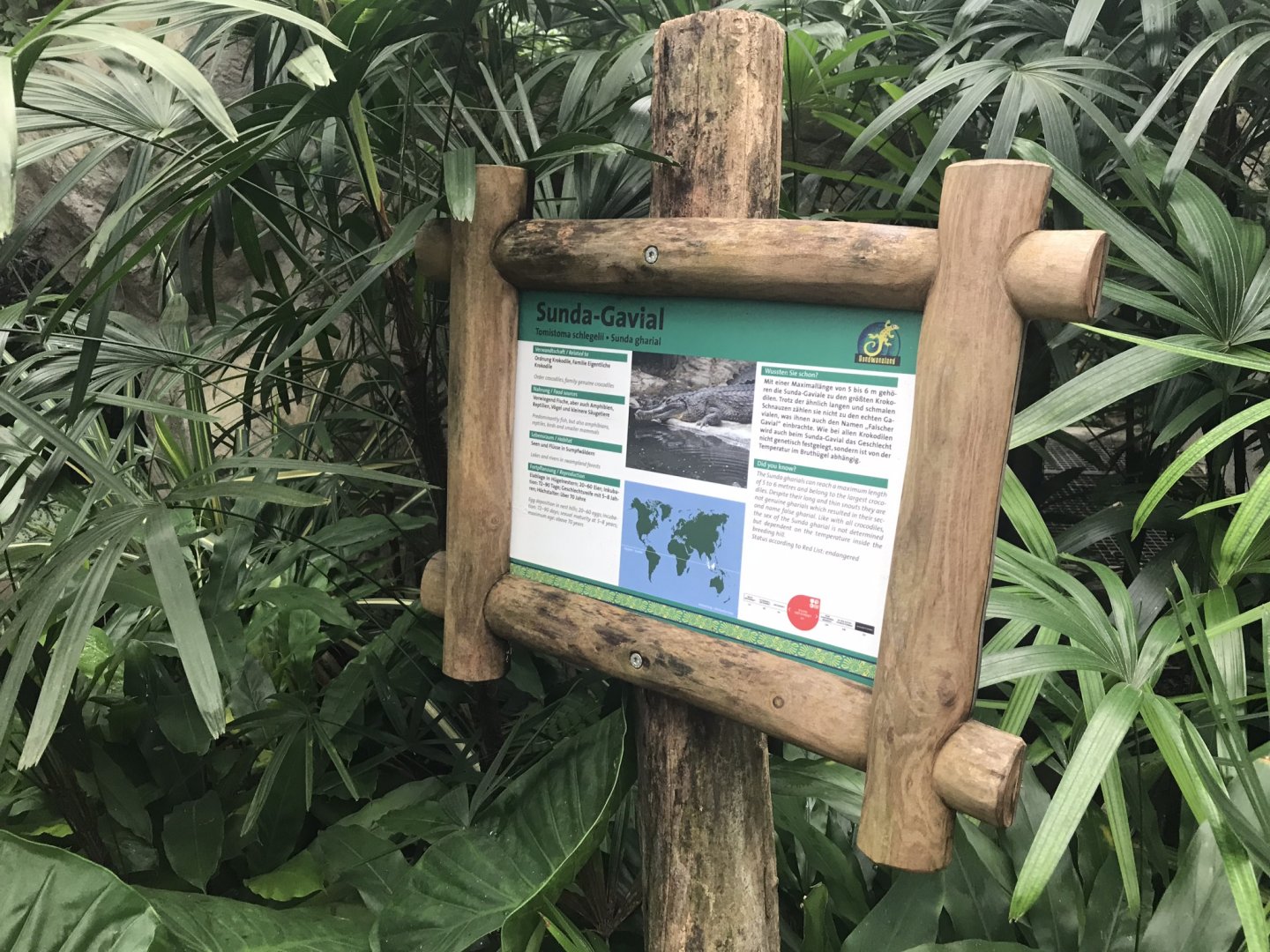 Gondwanaland - Signage example 280118