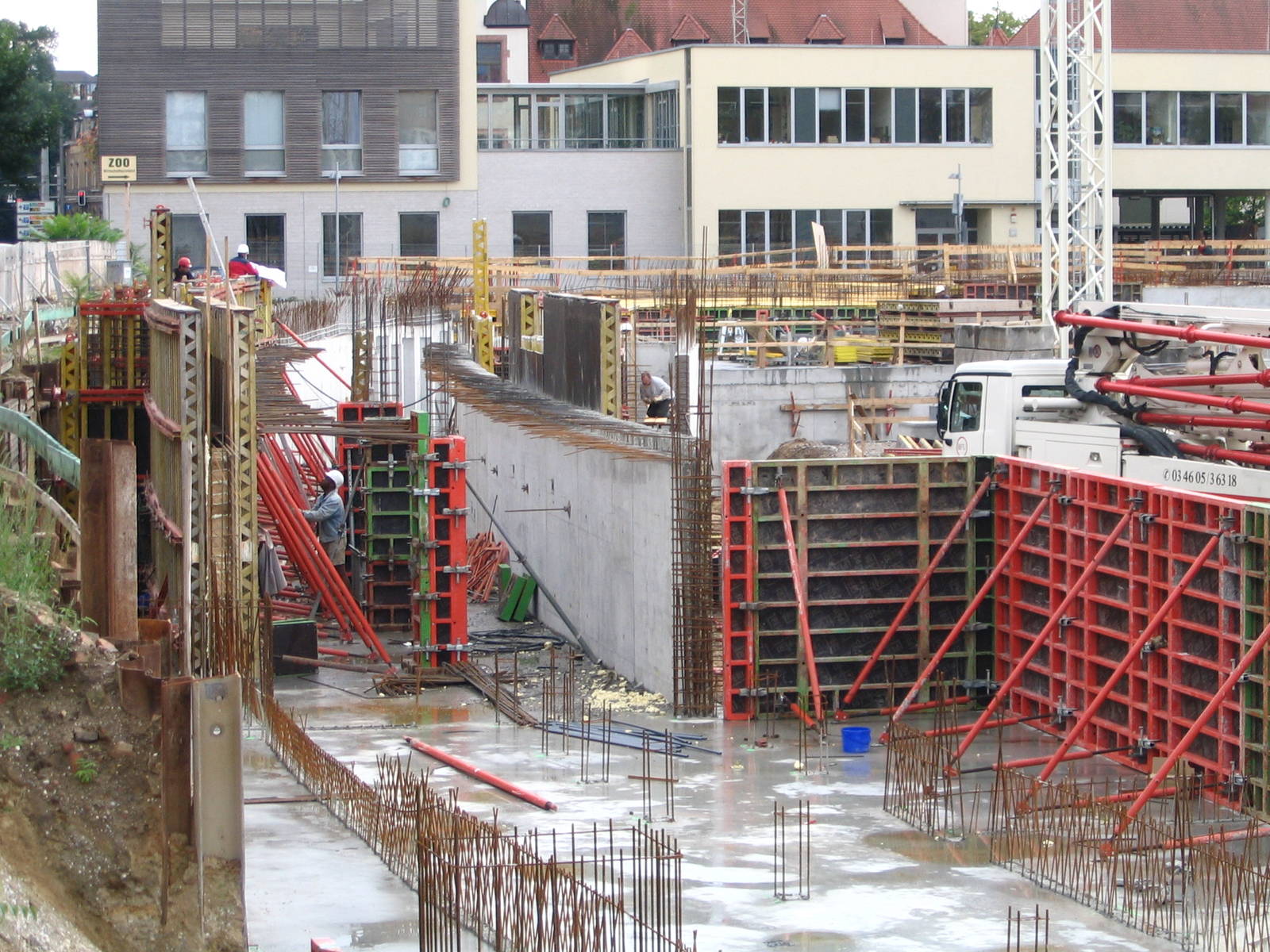 "Gondwanaland" site, September 2008