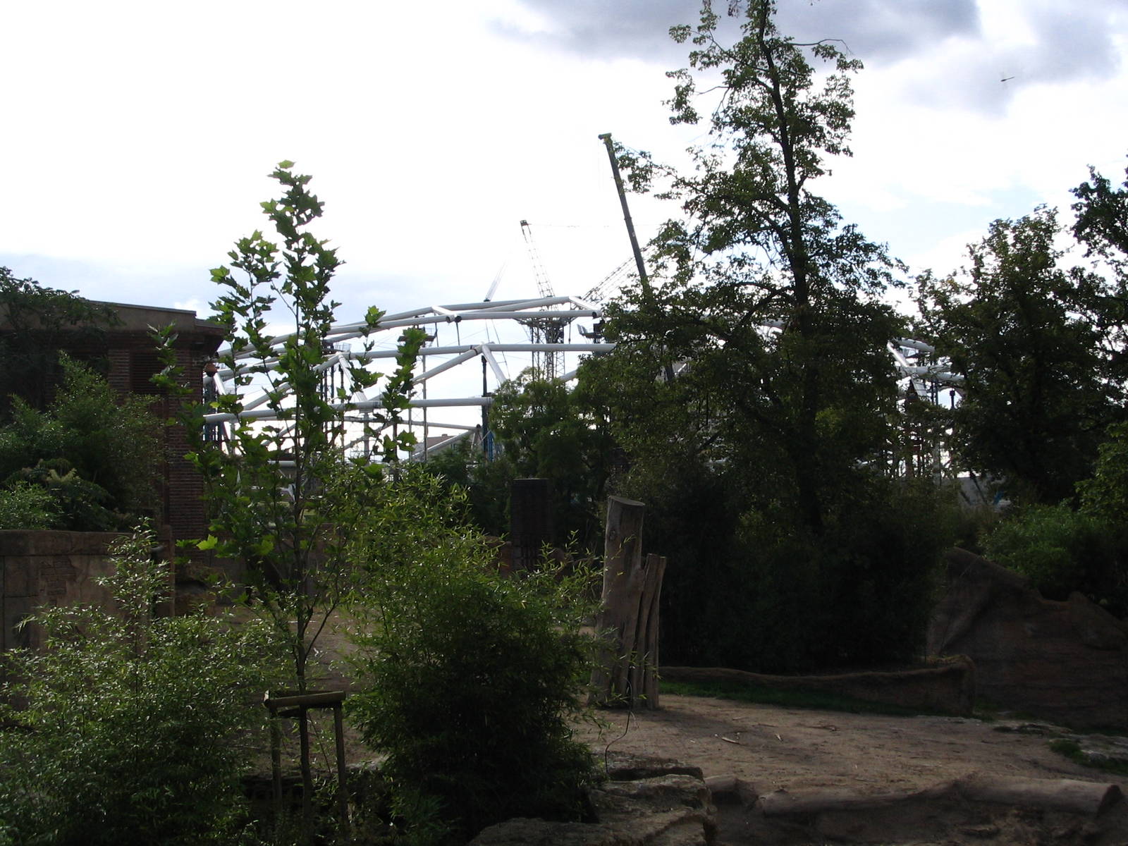 Gondwanaland view from elephant outdoor enclosure)
