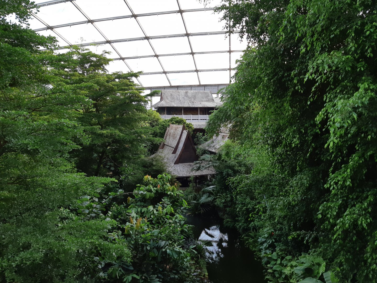 Gondwanaland - view from gallery - Zoo Leipzig
