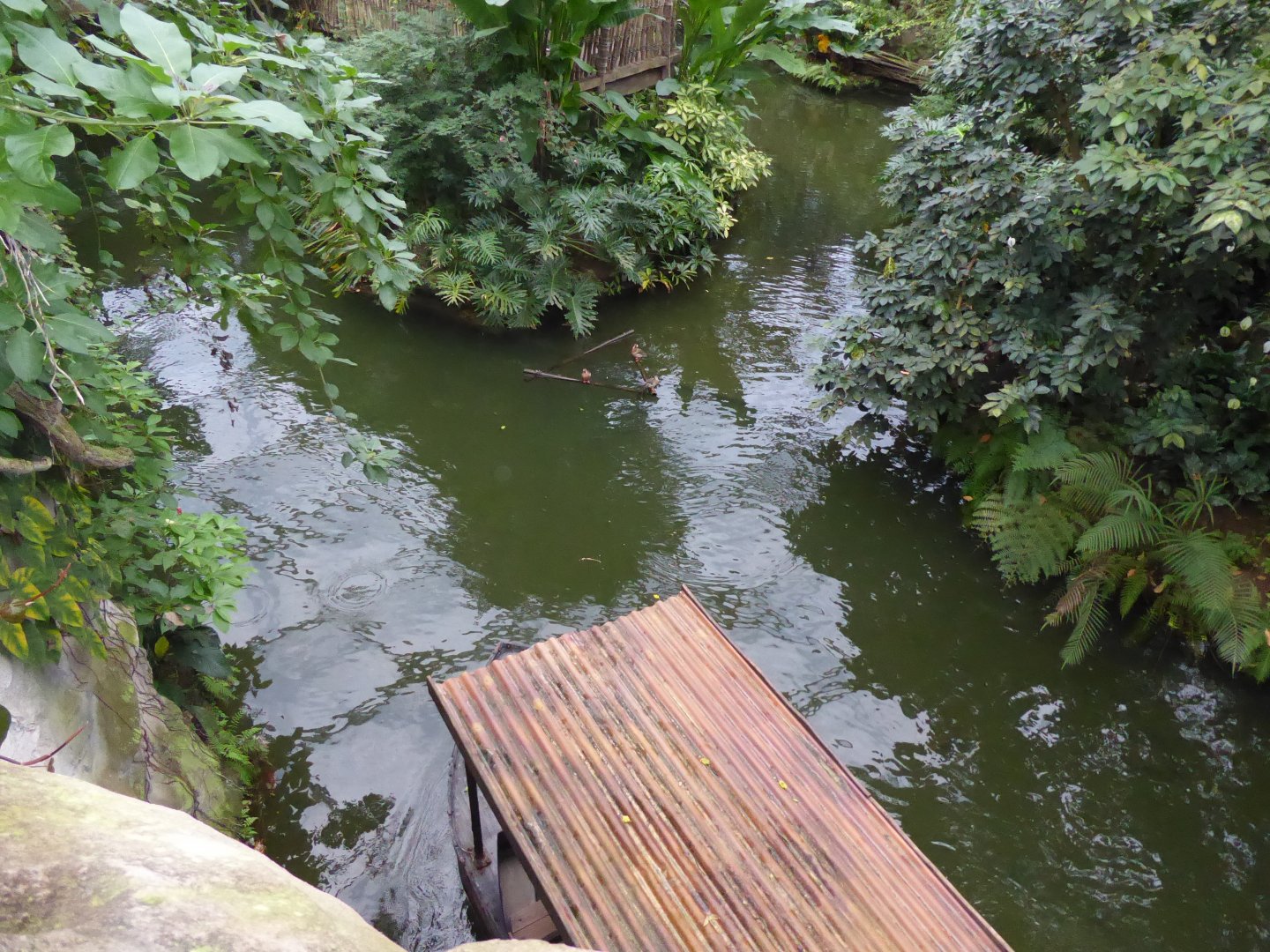 Gondwanaland - view of Boat Trip 280118