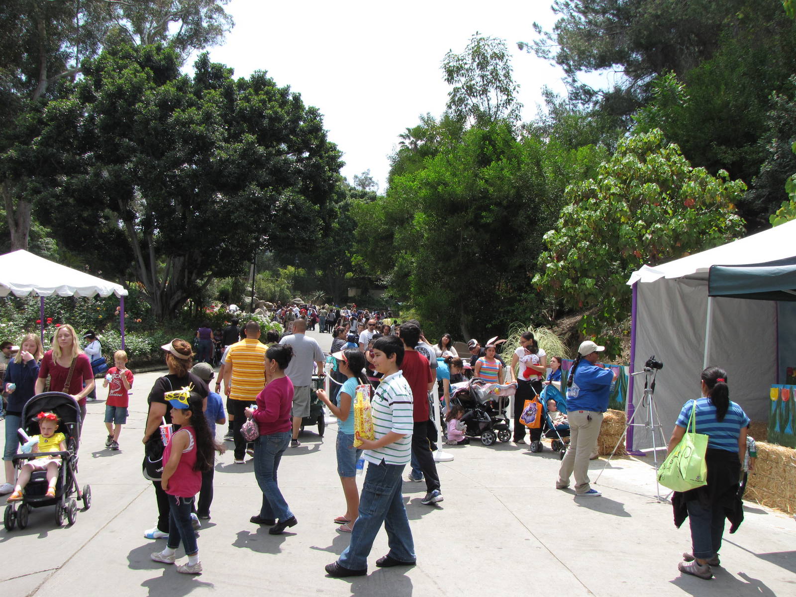 Good Friday Zoo Crowd