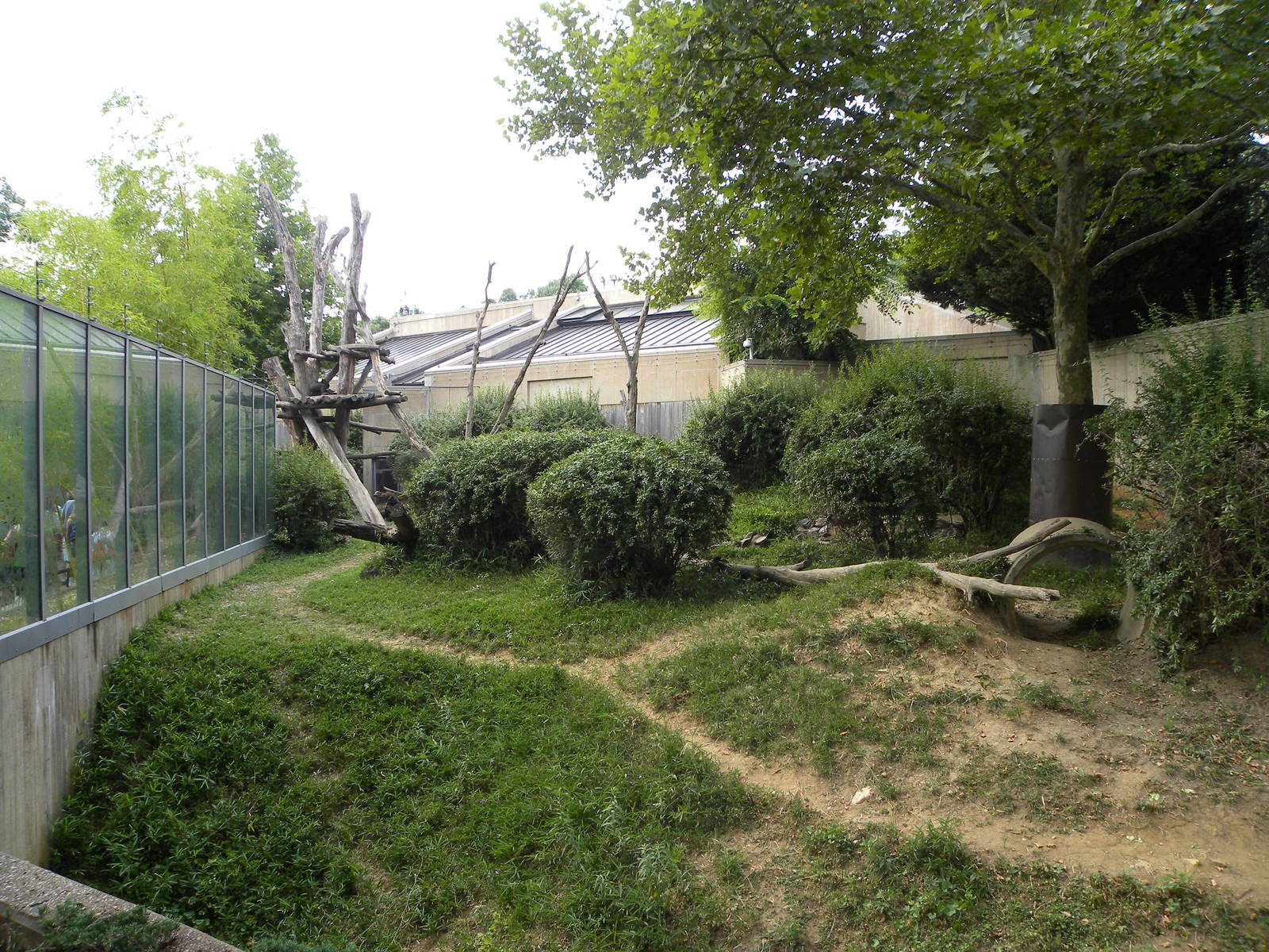 good gorilla exhibit