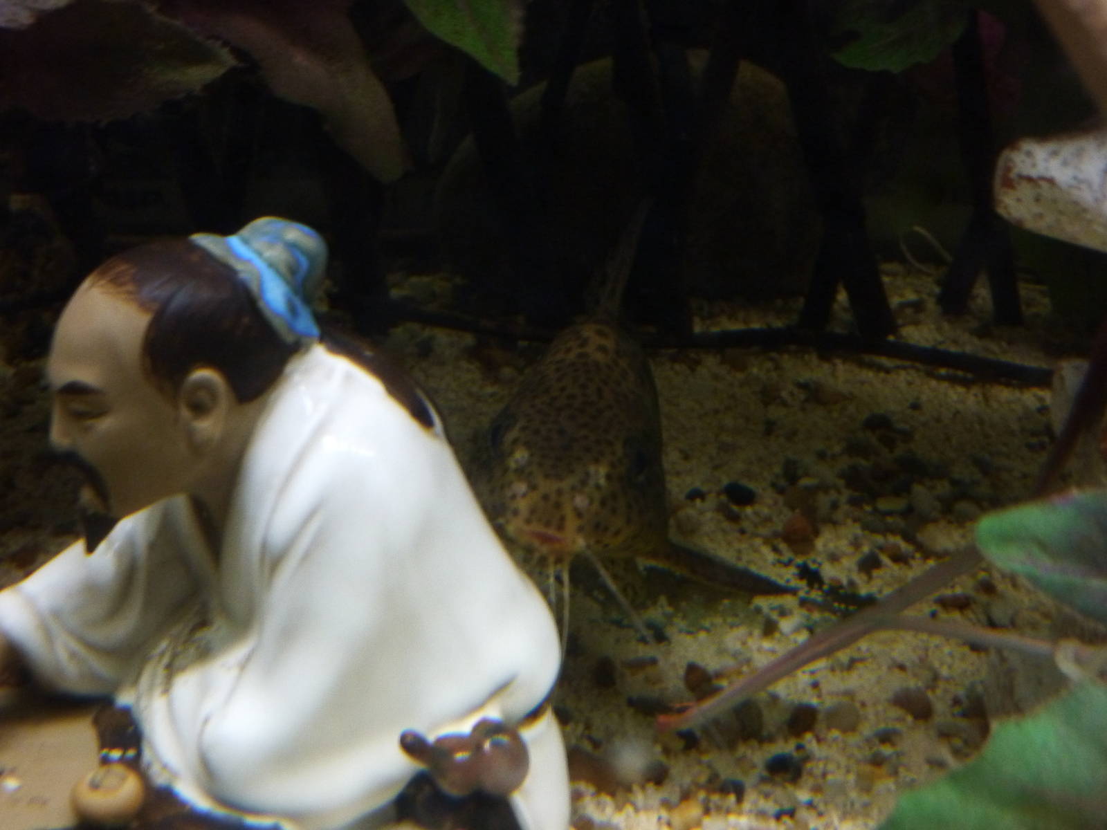 Good impression? - 24th August 2012