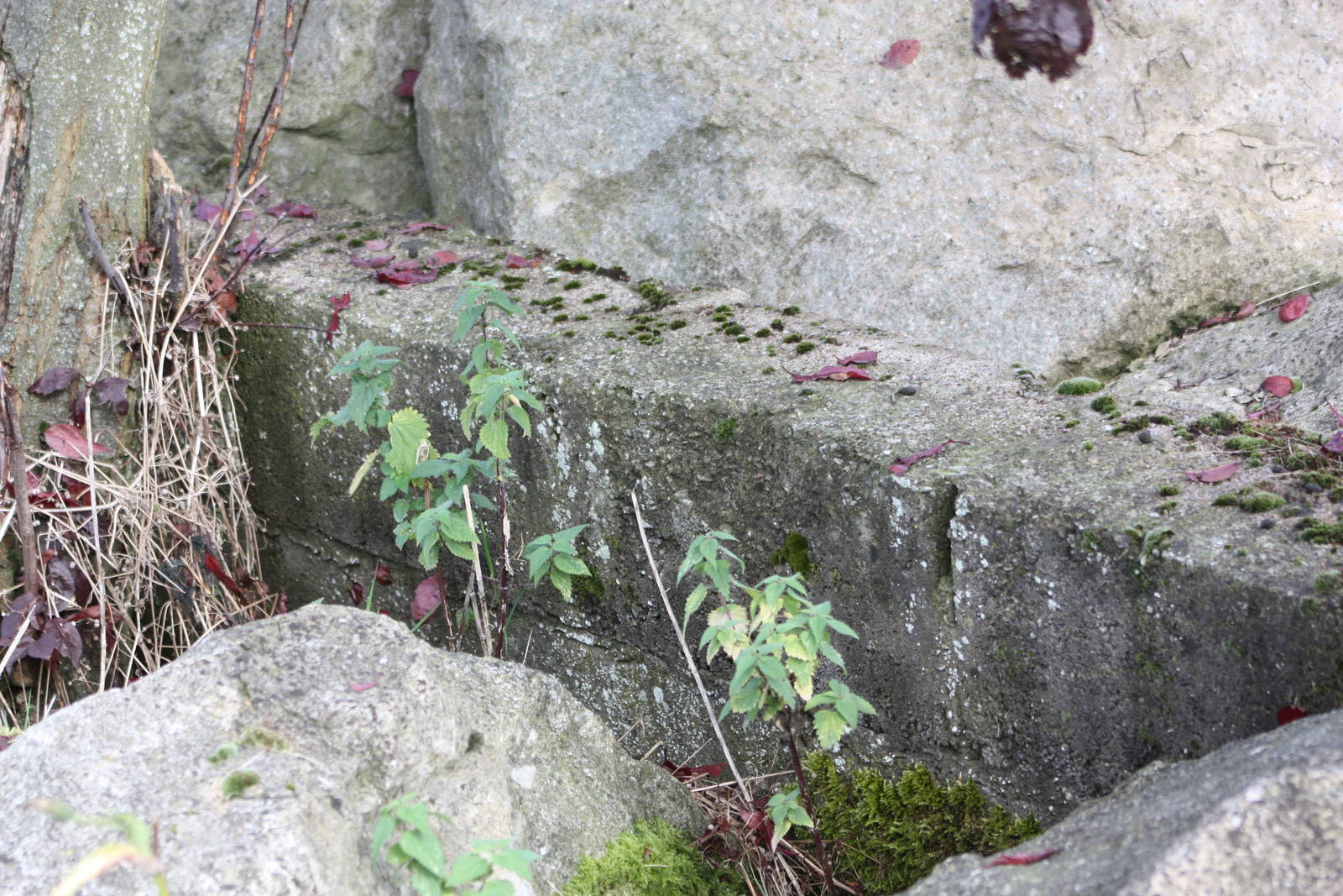 Good old Flamingo Park breeze blocks still in use, 30th September 2014