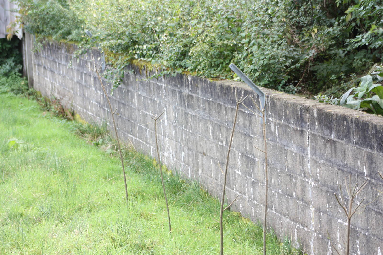 Good old Flamingo Park breeze blocks still in use, 30th September 2014