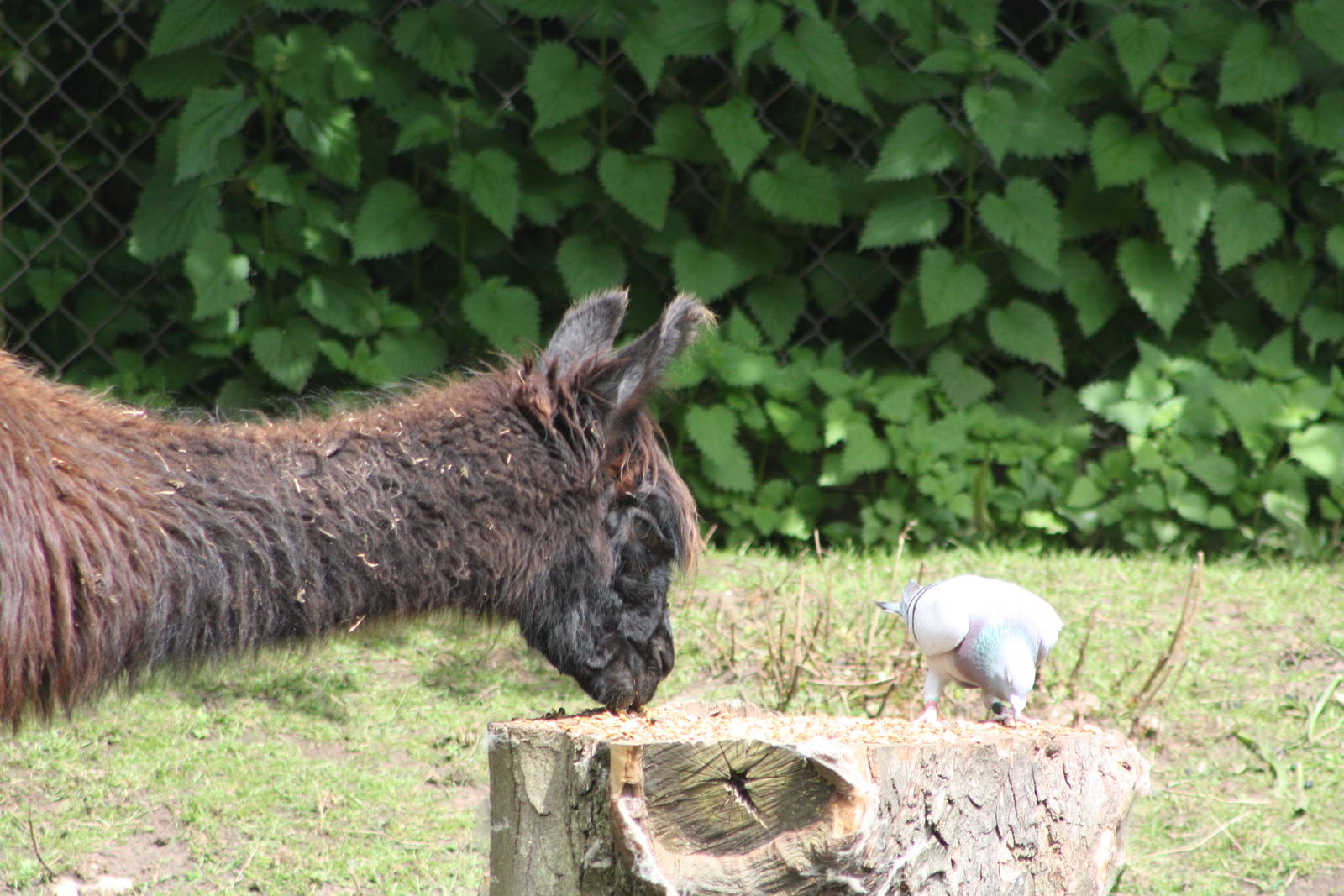 Good to share - part one, 26th May 2014