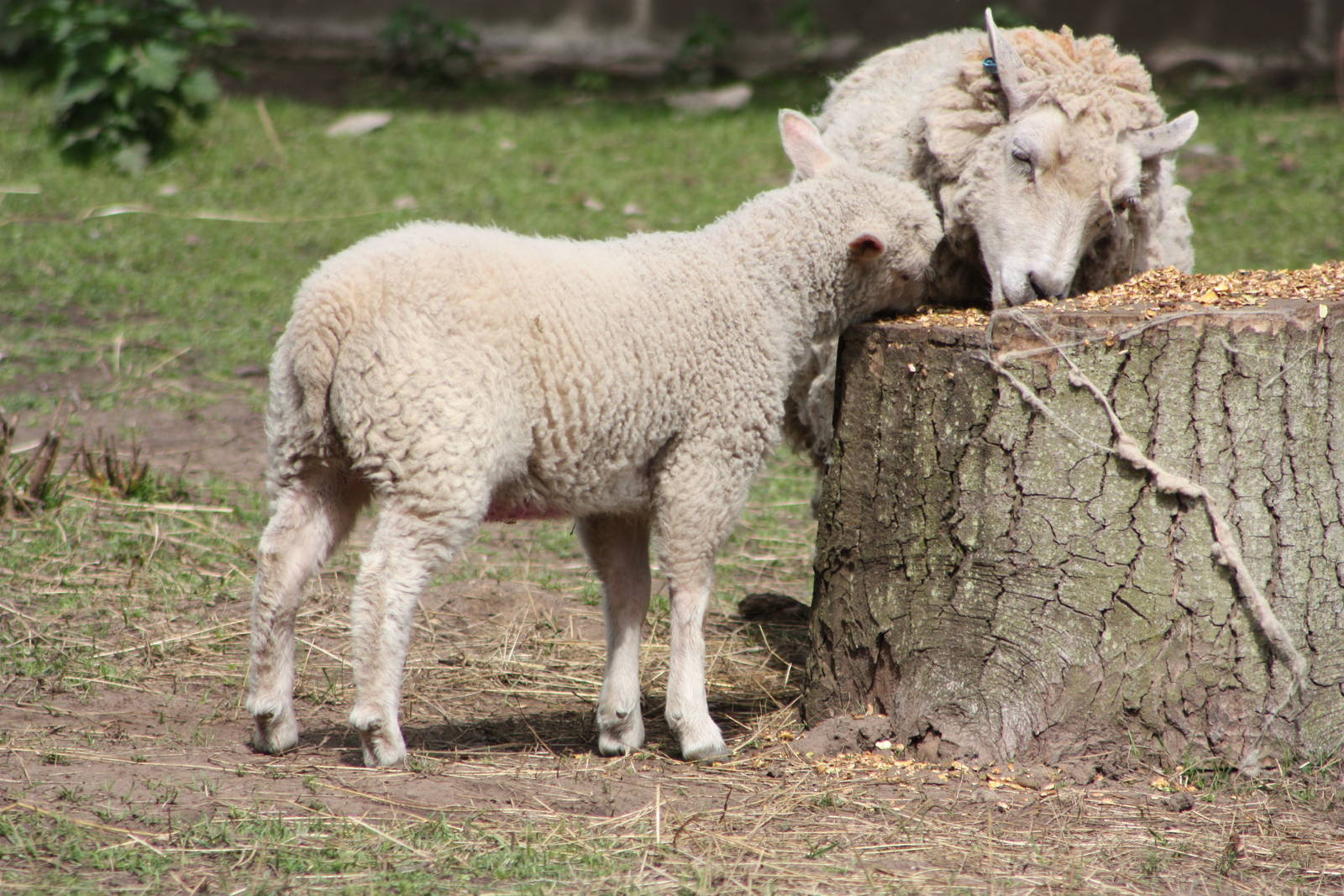 Good to share - part two, 26th May 2014