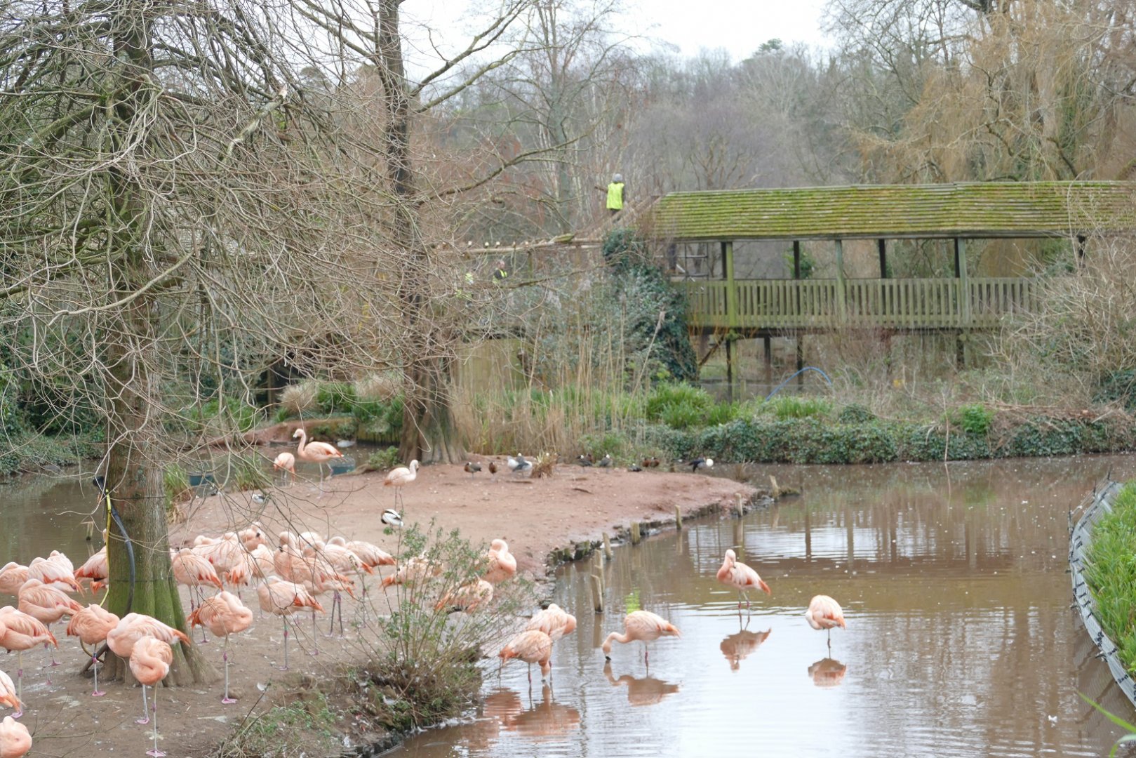 Goodbye Boardwalk, 27 January 2022