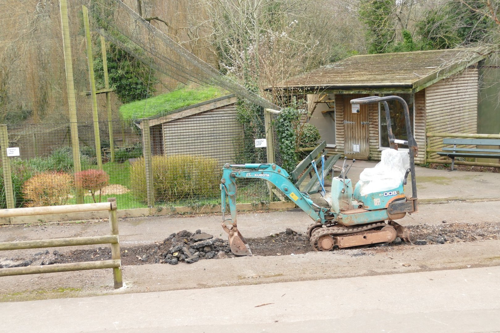 Goodbye Jungle Express, 24 January 2022