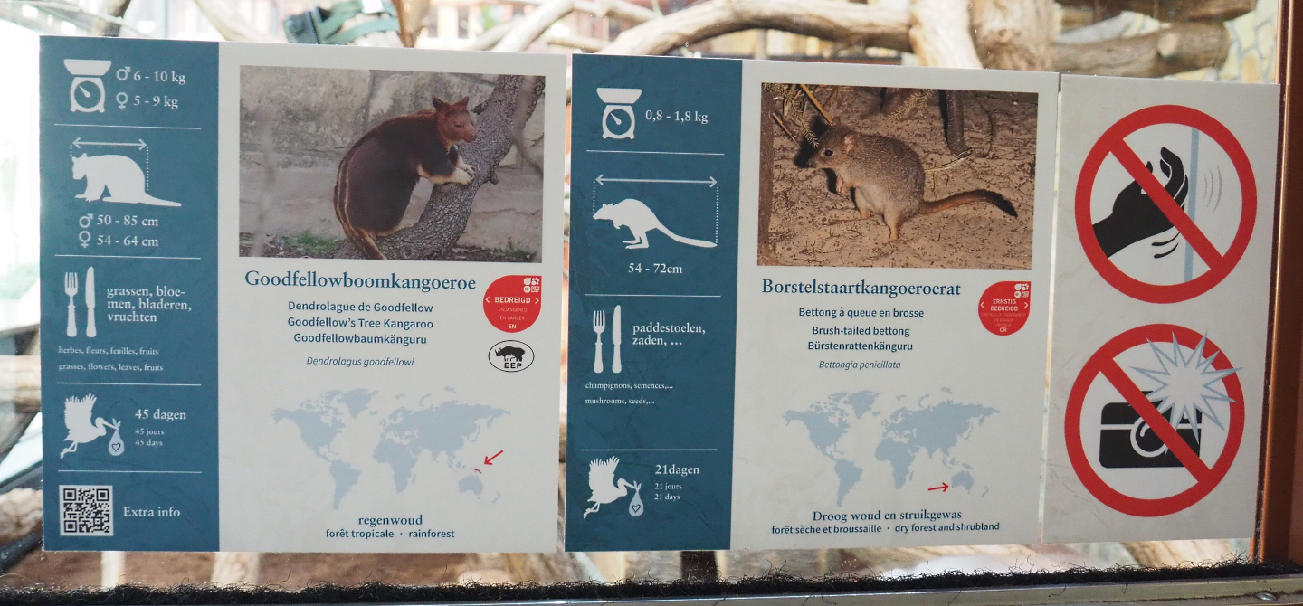 Goodfellow's tree kangaroo and Western woylie signage, 2022-03-16