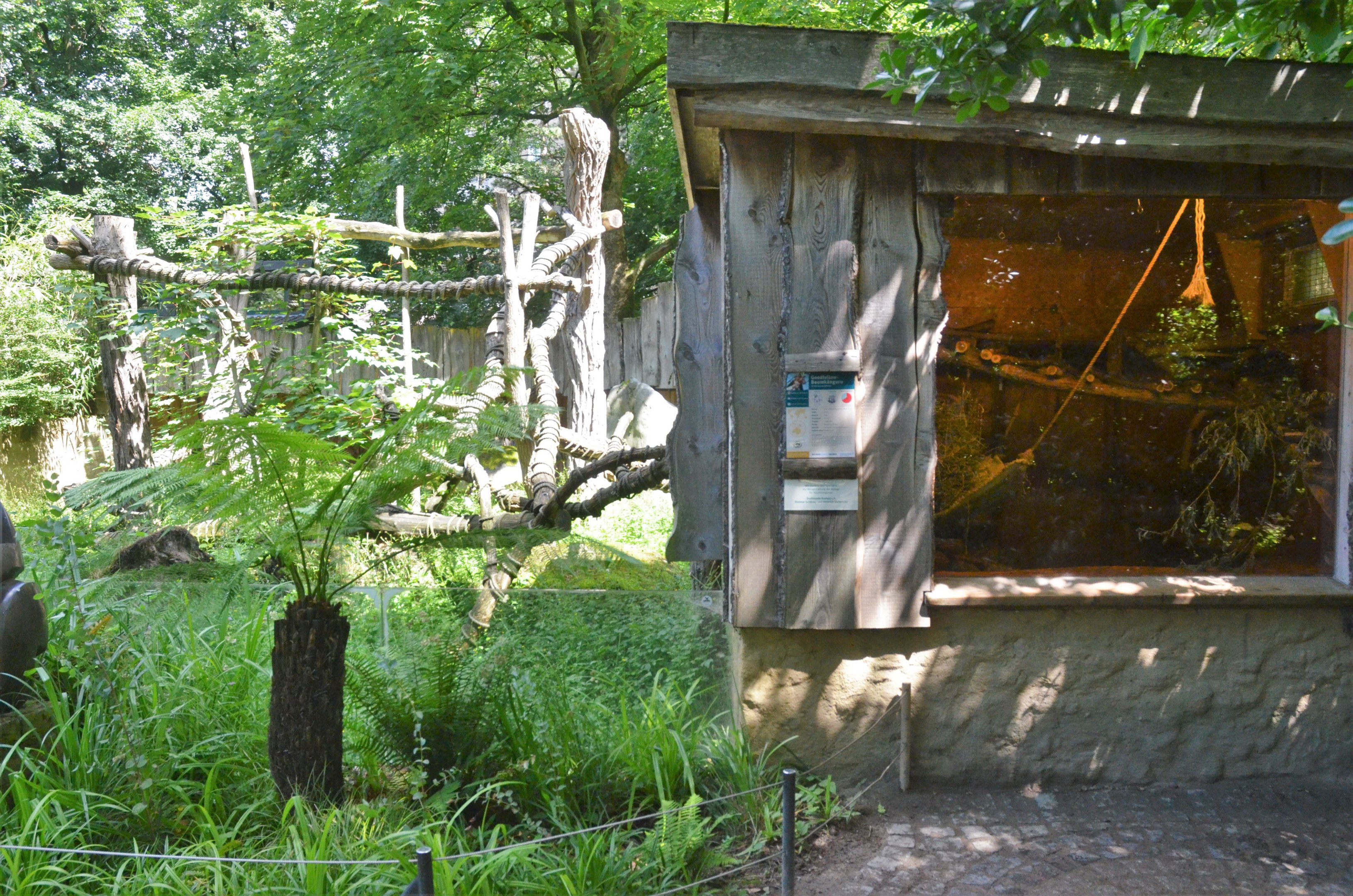 Goodfellow's Tree Kangaroo Enclosure at Krefeld, 15/06/19
