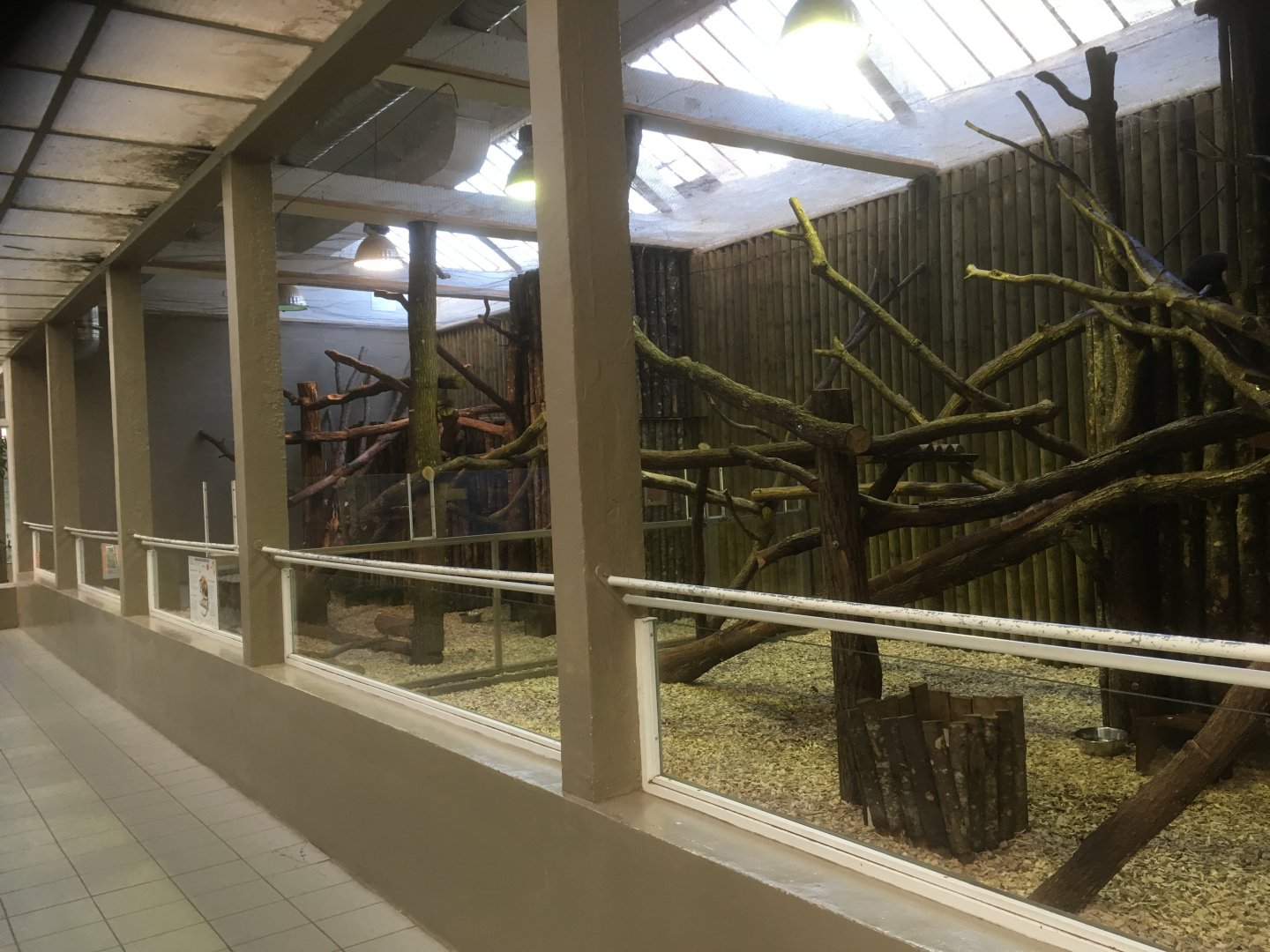 Goodfellow’s tree kangaroo enclosures