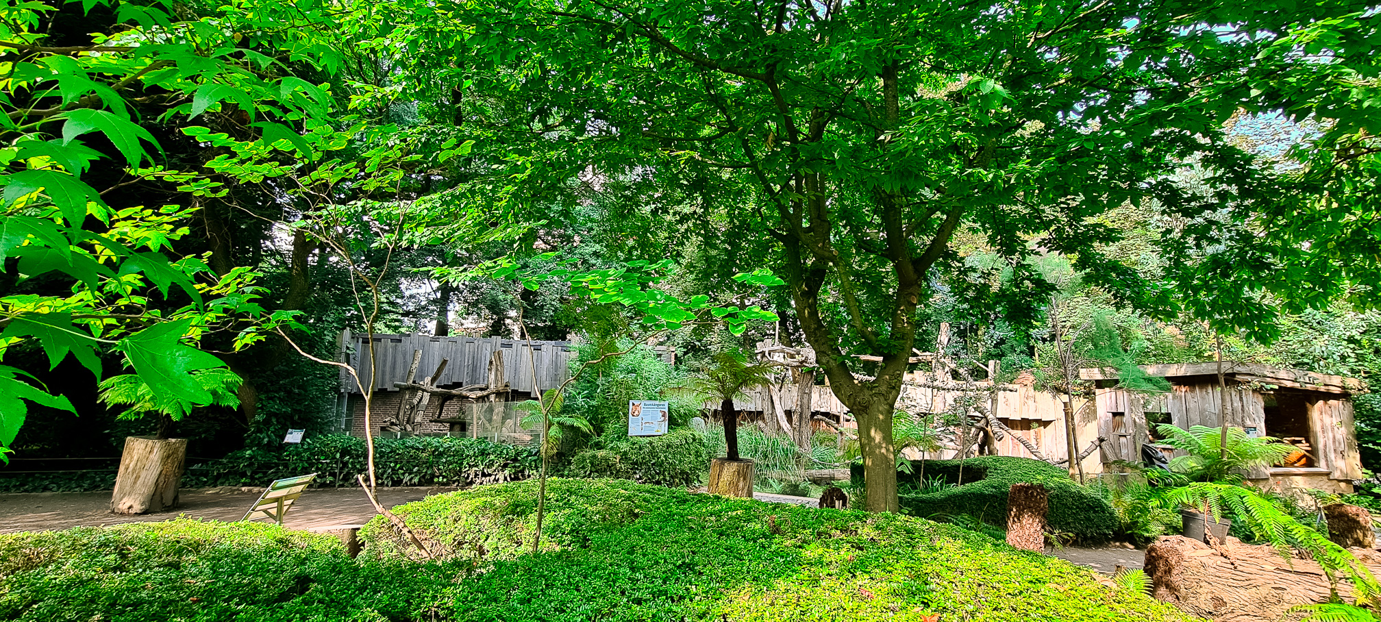 Goodfellow's Tree-kangaroo enclosures